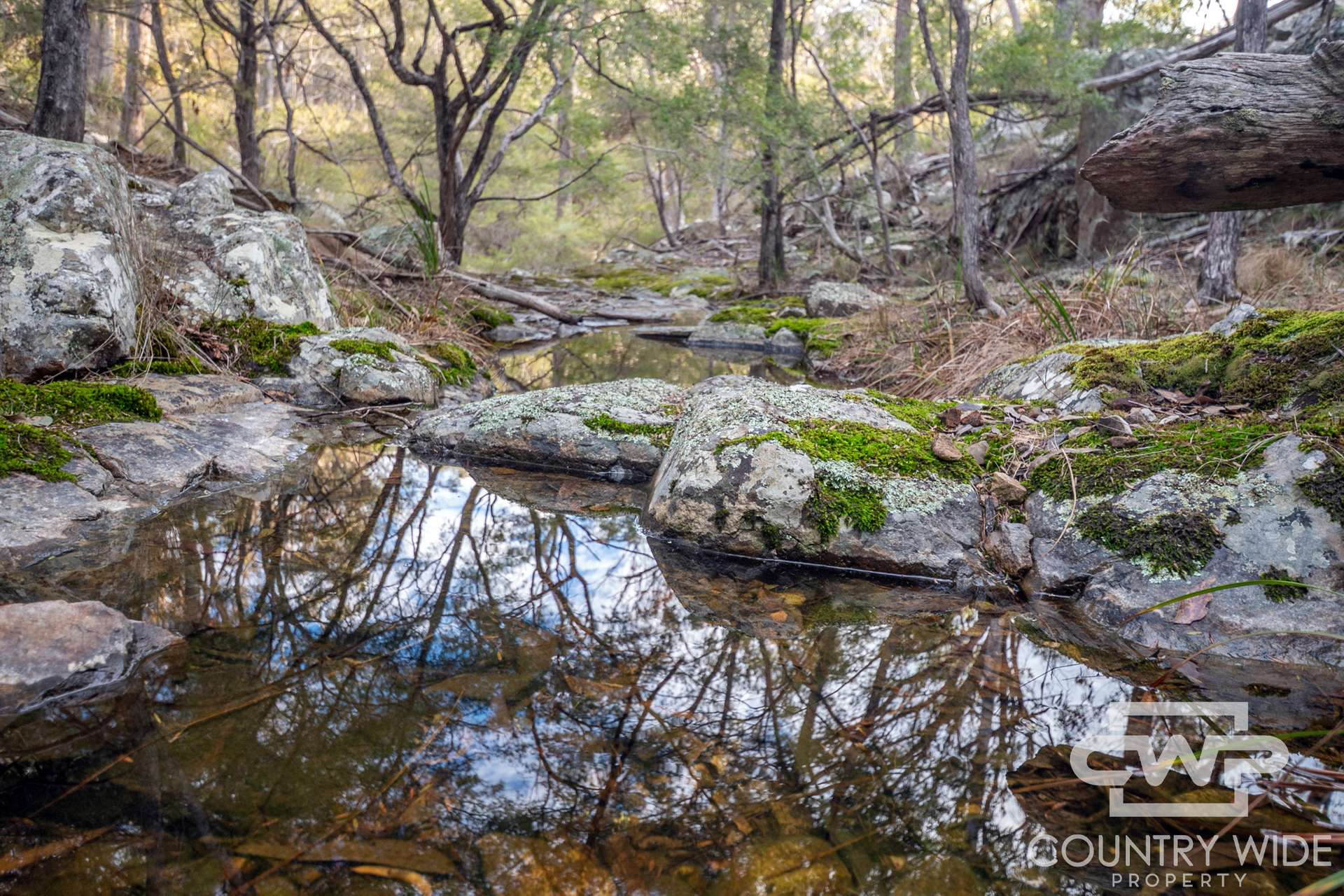 Lot 140, / Dellwood Road, Deepwater For Sale by Farmbuy.com - image 10