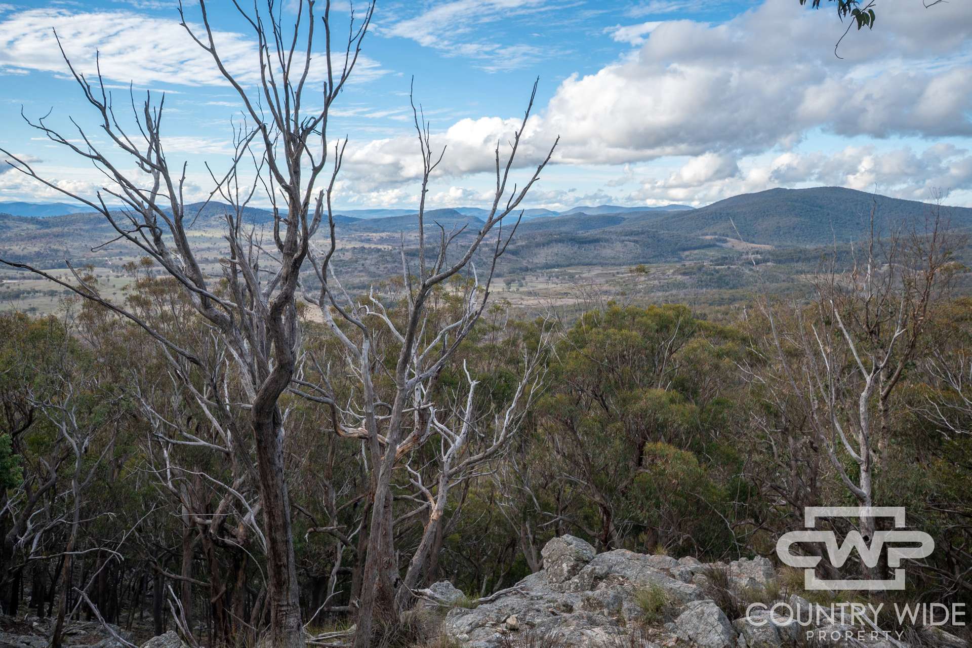 Lot 140, / Dellwood Road, Deepwater For Sale by Farmbuy.com - image 11