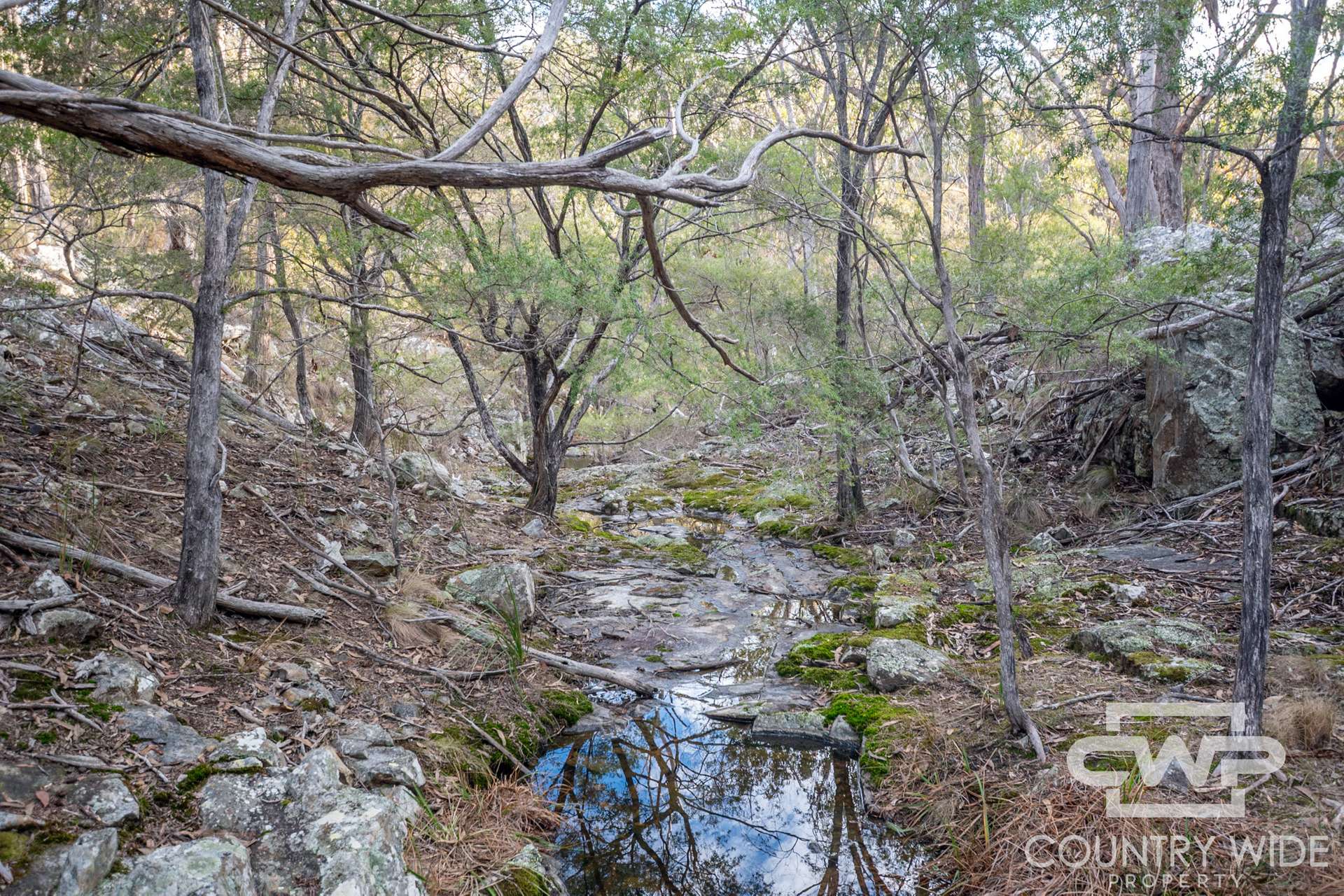 Lot 140, / Dellwood Road, Deepwater For Sale by Farmbuy.com - image 15