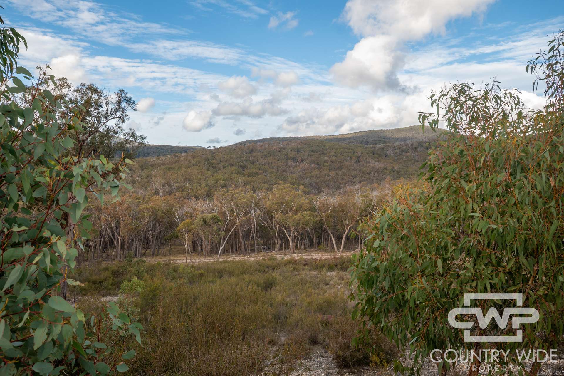 Lot 140, / Dellwood Road, Deepwater For Sale by Farmbuy.com - image 3