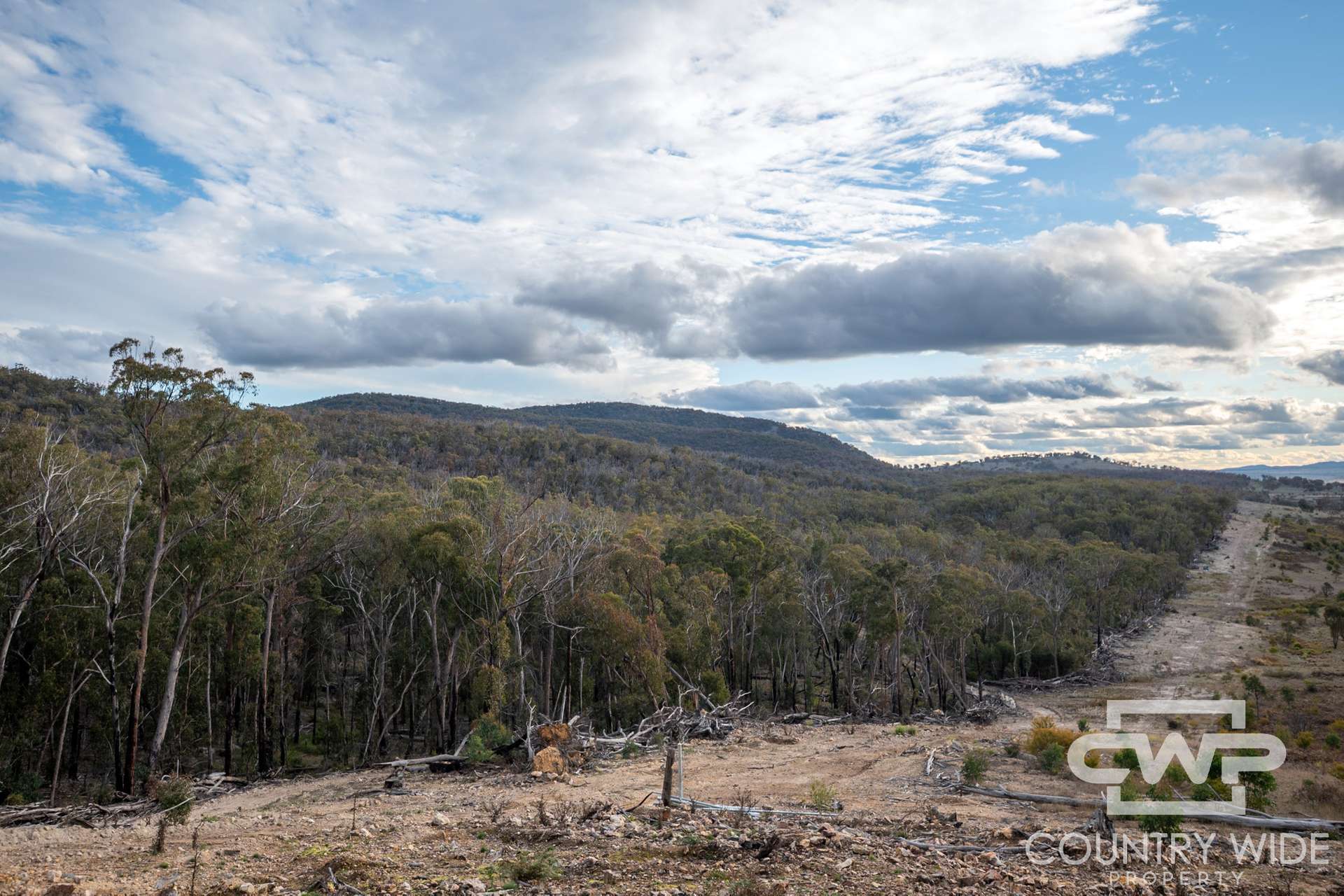 Lot 140, / Dellwood Road, Deepwater For Sale by Farmbuy.com - image 12