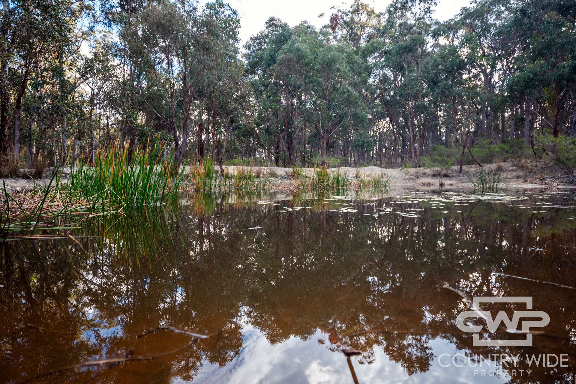 Lot 140, / Dellwood Road, Deepwater For Sale by Farmbuy.com - image 8