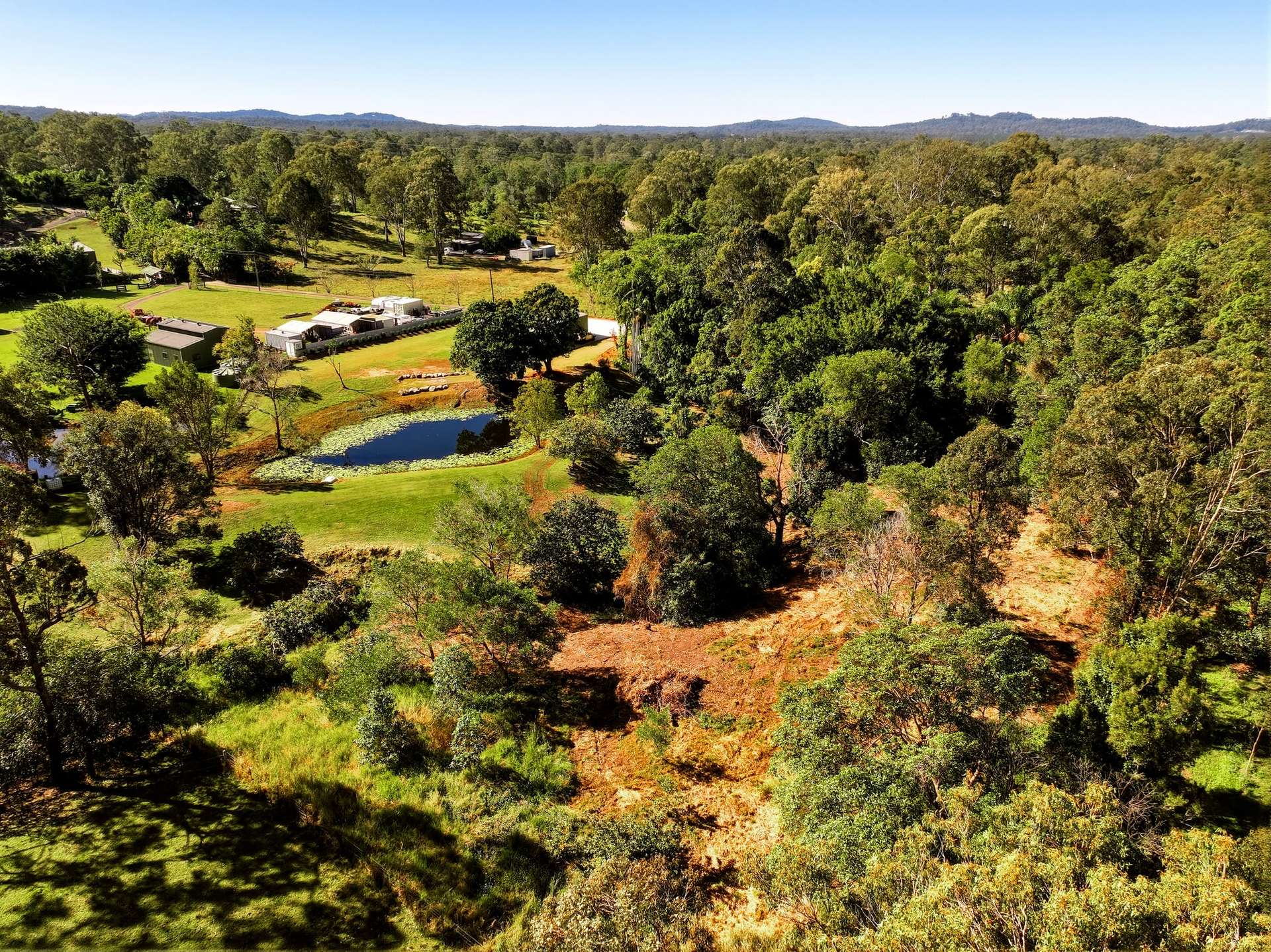 99 Lower Mount Mellum Road, Landsborough For Sale by Farmbuy.com - image 27