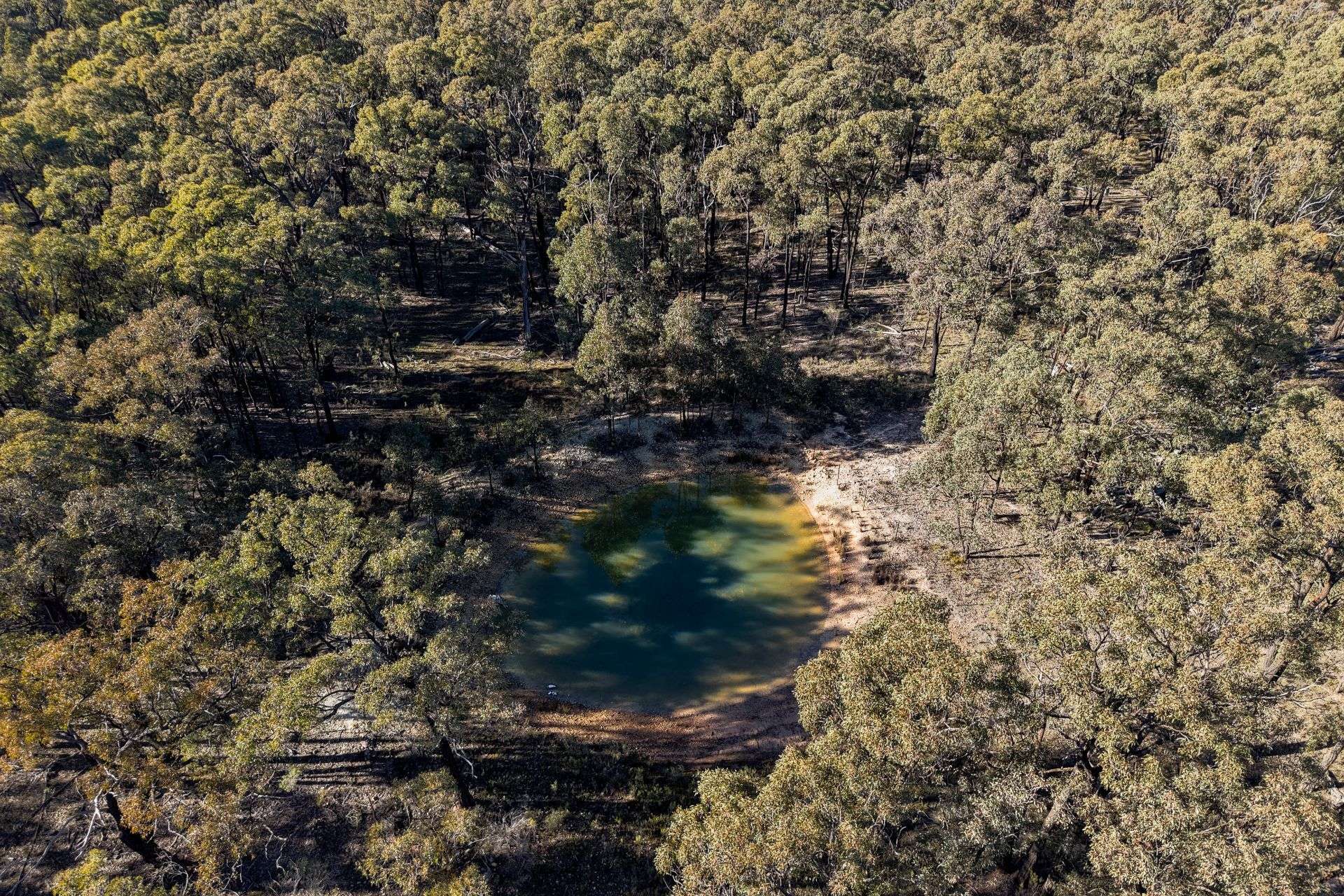 1787 Spring Ridge Road, Gulgong For Sale by Farmbuy.com - image 10