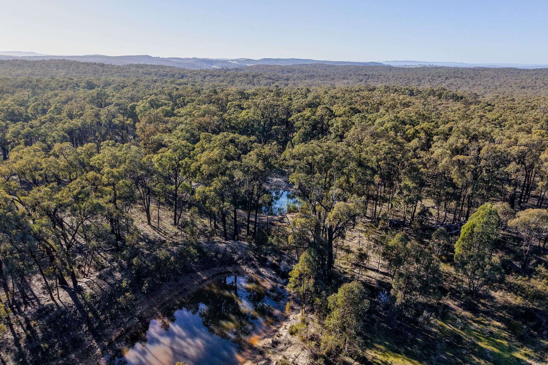 1787 Spring Ridge Road, Gulgong For Sale by Farmbuy.com - image 9