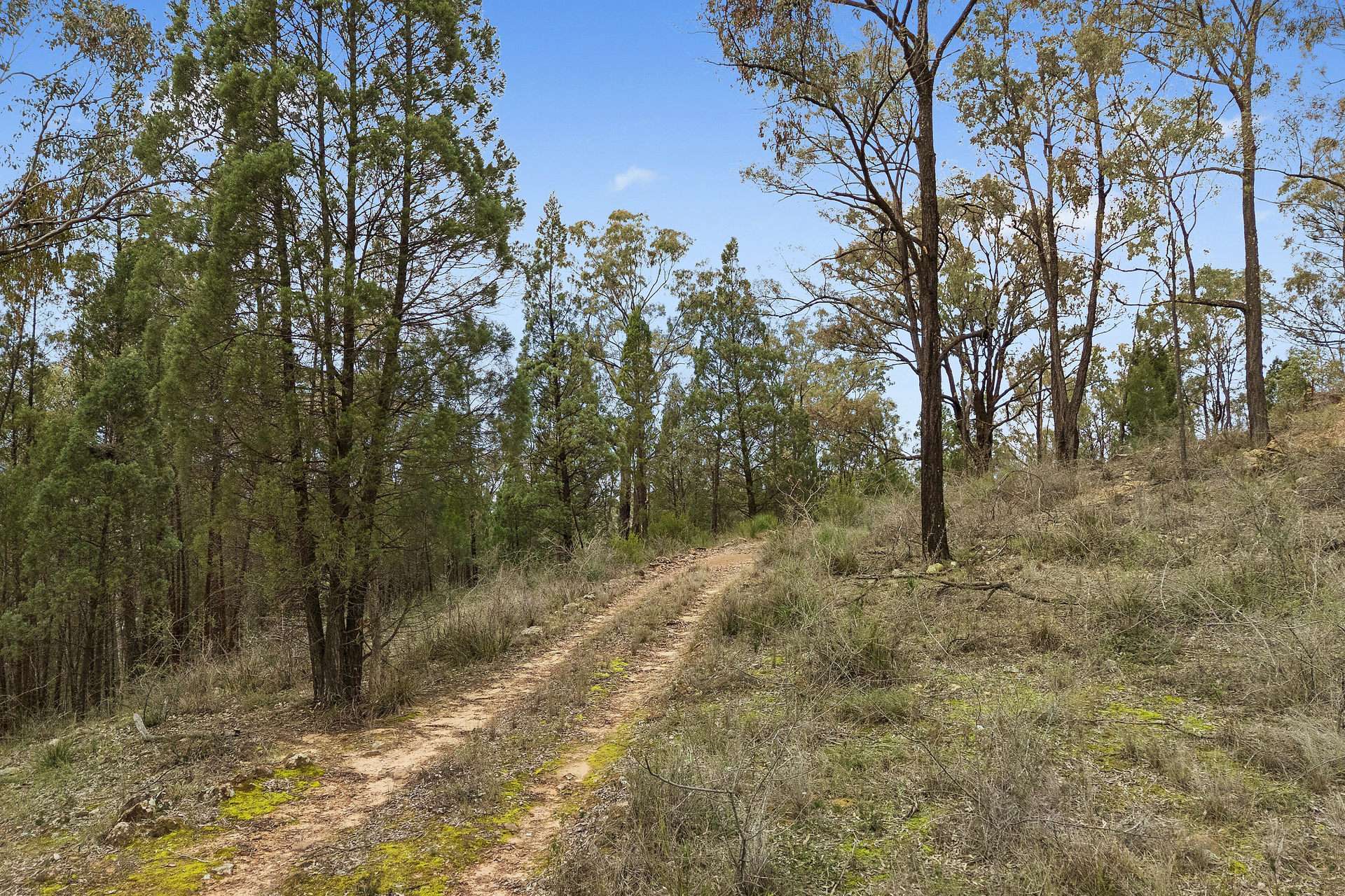 2805 Glen Alice Road, Rylstone For Sale by Farmbuy.com - image 10