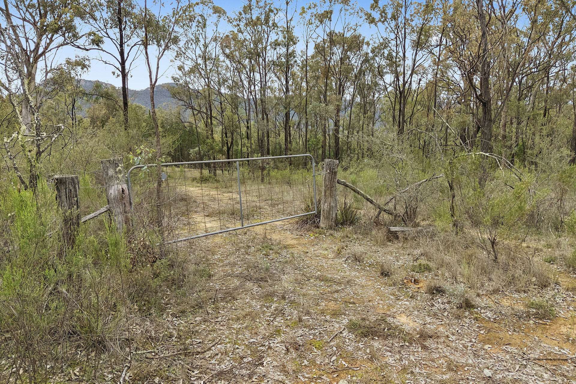 2805 Glen Alice Road, Rylstone For Sale by Farmbuy.com - image 11