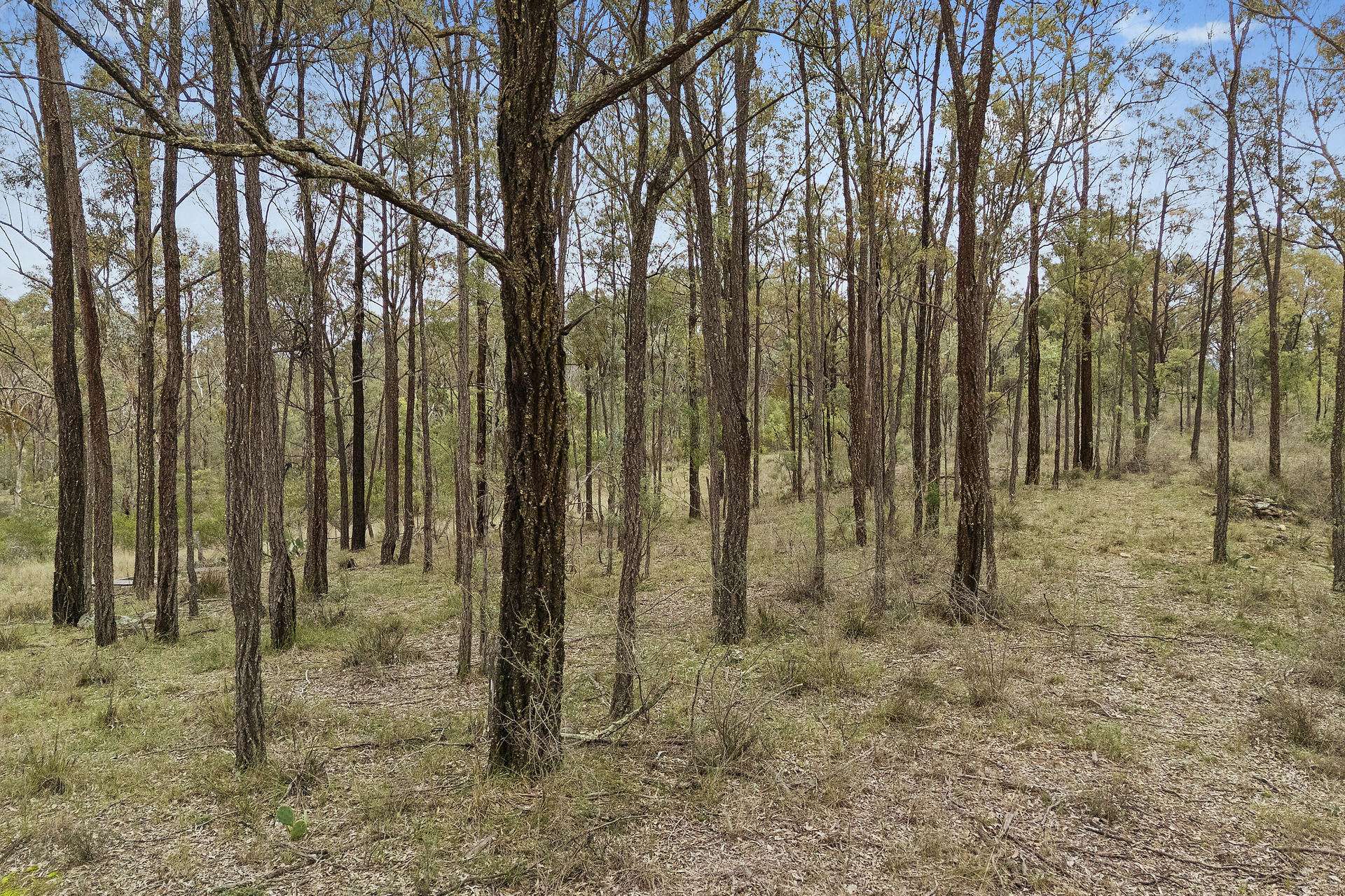 2805 Glen Alice Road, Rylstone For Sale by Farmbuy.com - image 6