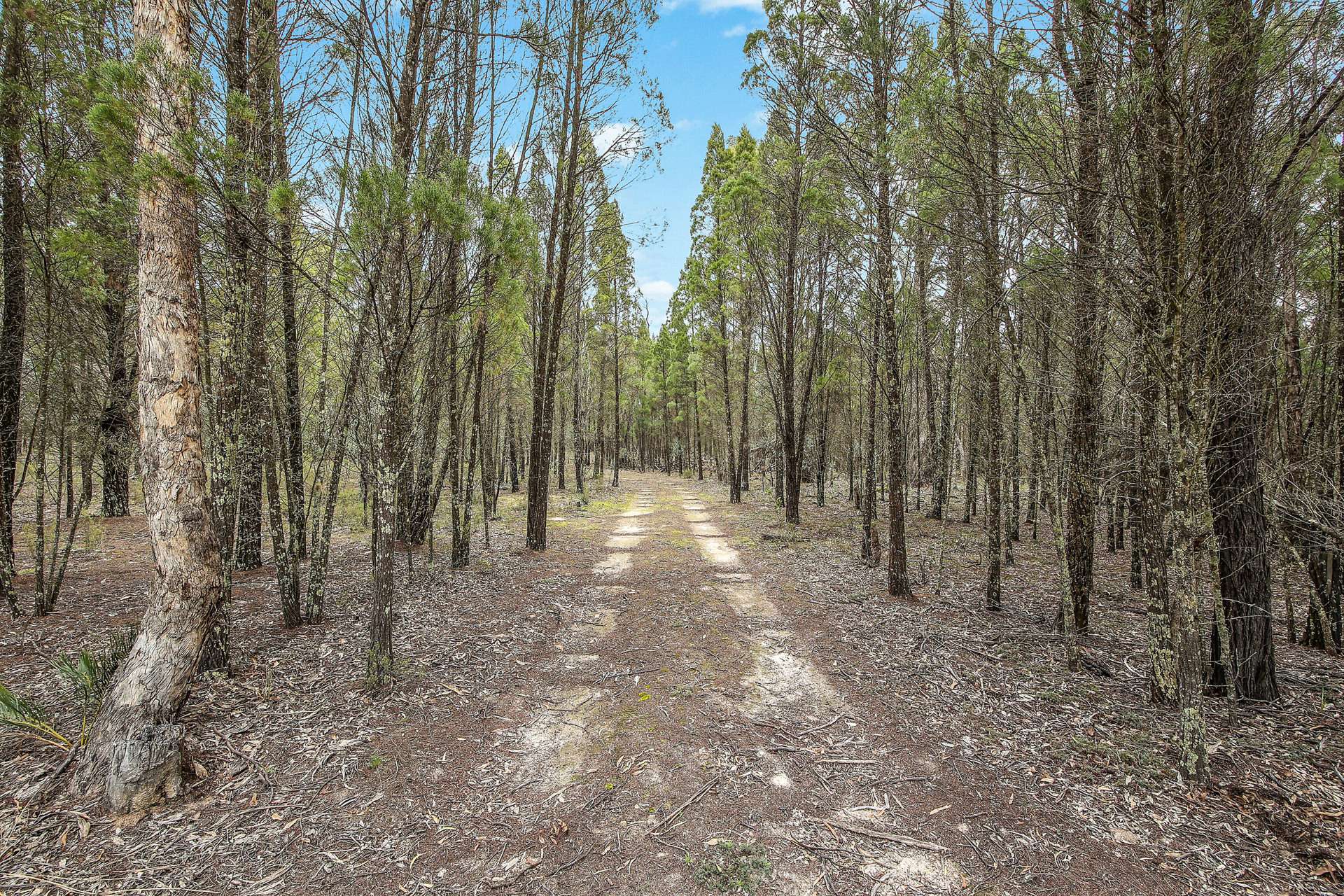1393 Spring Creek Road, Mudgee For Sale by Farmbuy.com - image 7