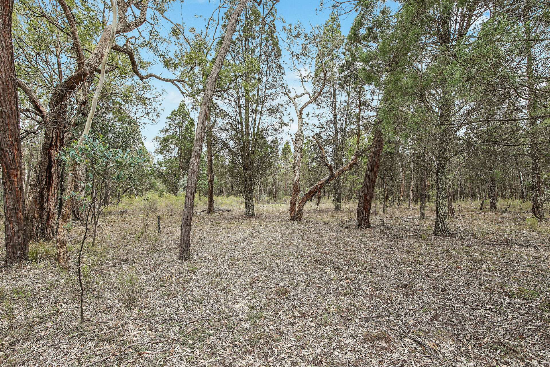 1393 Spring Creek Road, Mudgee For Sale by Farmbuy.com - image 5