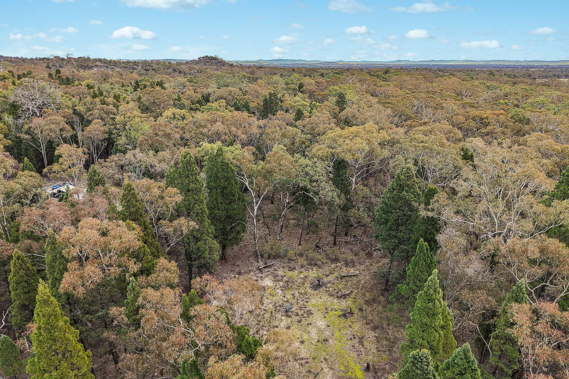 1393 Spring Creek Road, Mudgee For Sale by Farmbuy.com - image 3