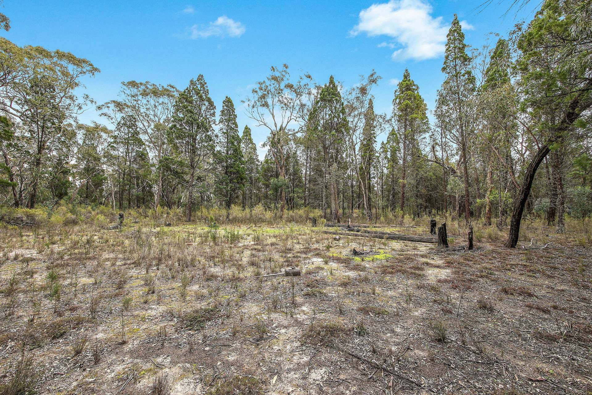 1393 Spring Creek Road, Mudgee For Sale by Farmbuy.com - image 6