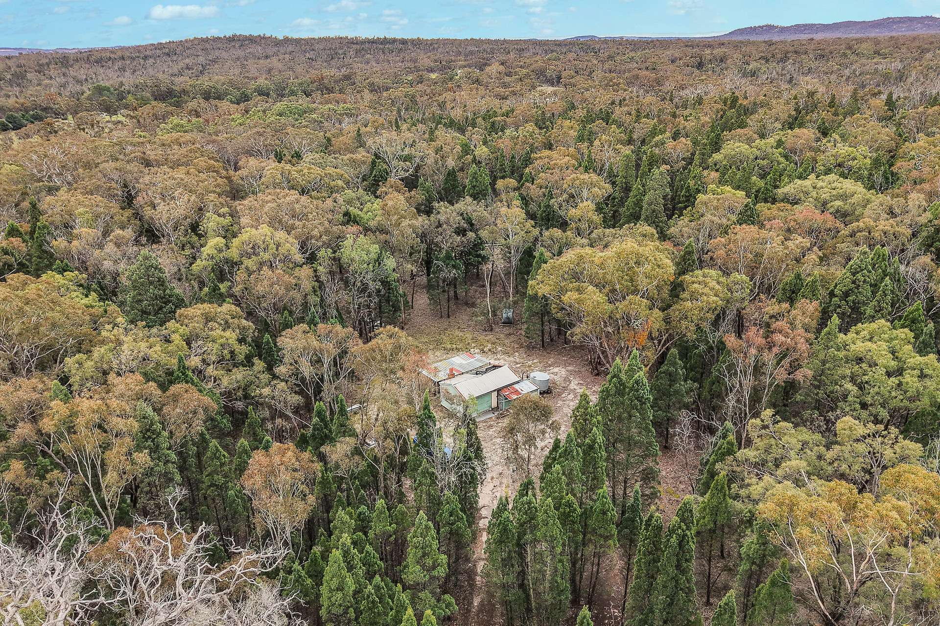 1393 Spring Creek Road, Mudgee For Sale by Farmbuy.com - image 4