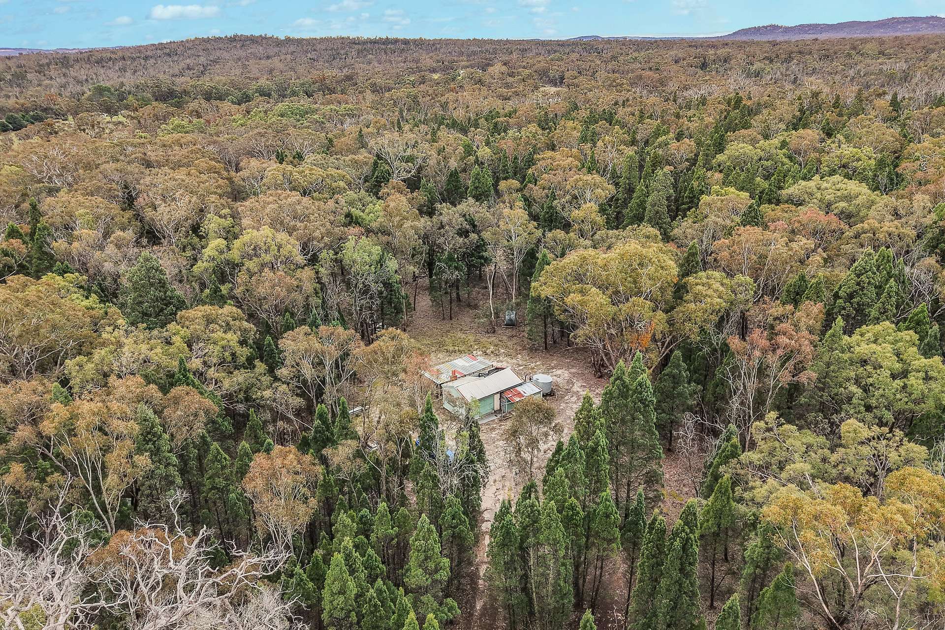 1393 Spring Creek Road, Mudgee For Sale by Farmbuy.com - image 5
