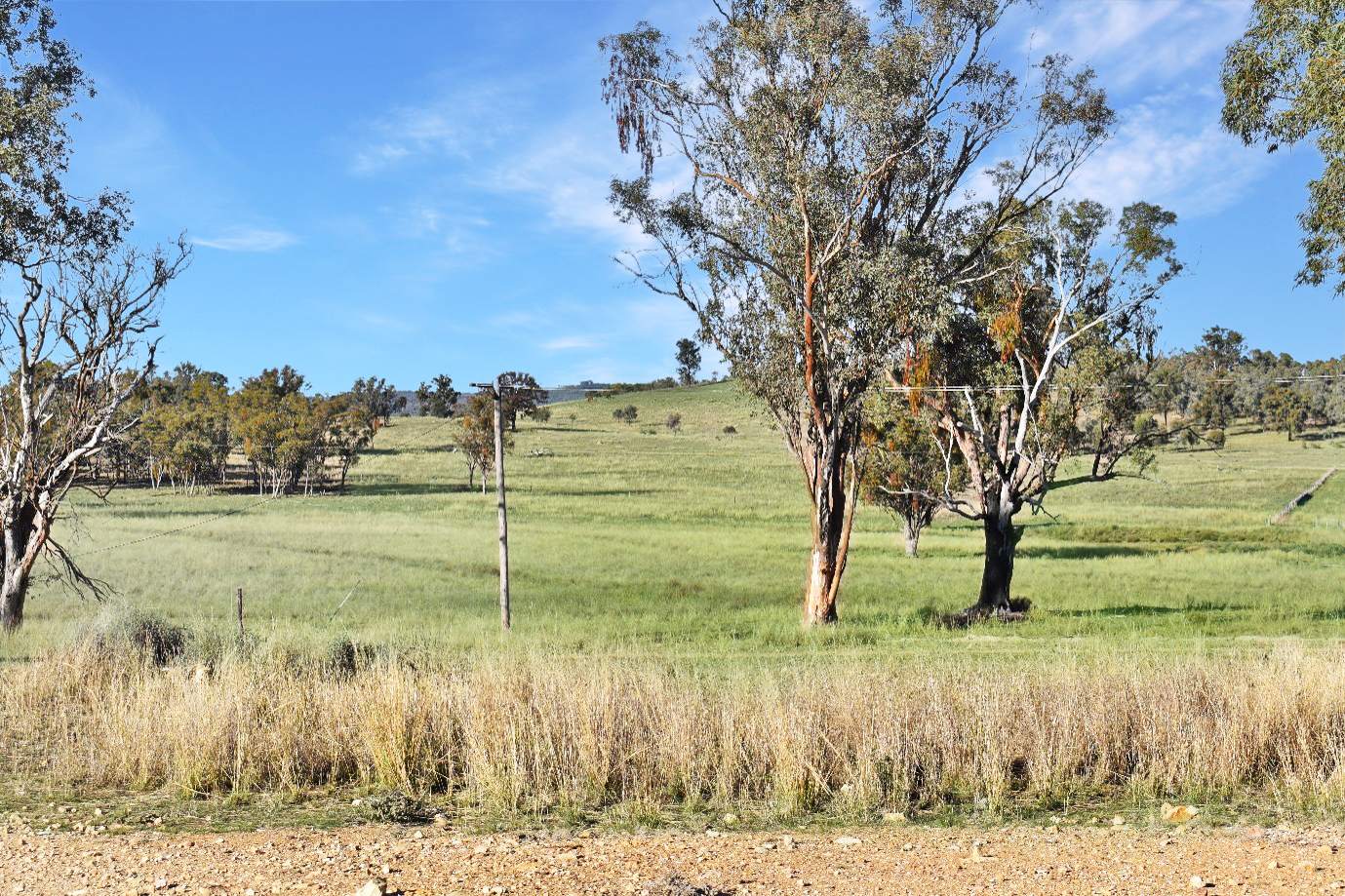" Brooklyn Macintyre Aggregation ", Warwick For Sale by Farmbuy.com - image 4