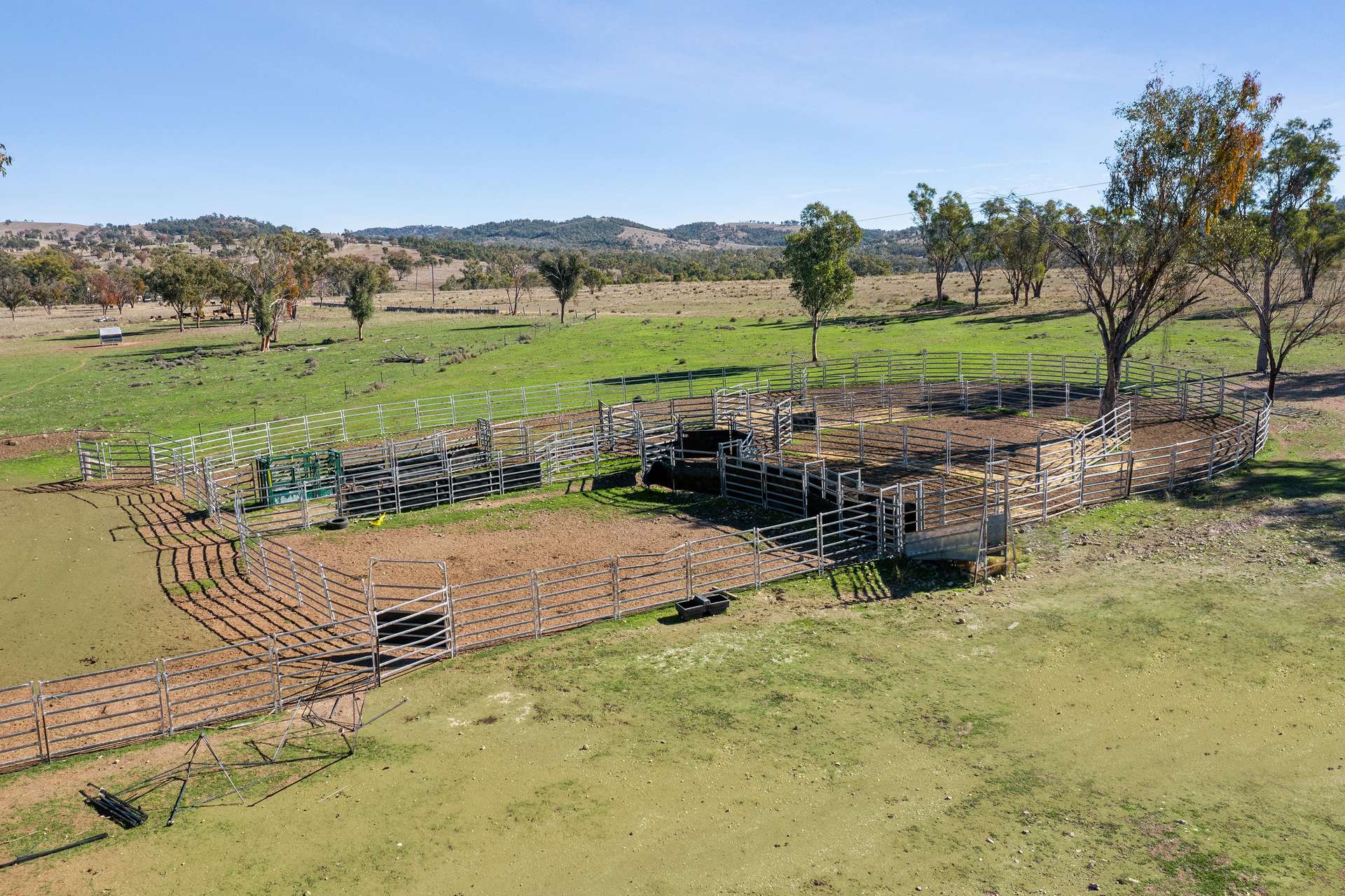 " Brooklyn Macintyre Aggregation ", Warwick For Sale by Farmbuy.com - image 14