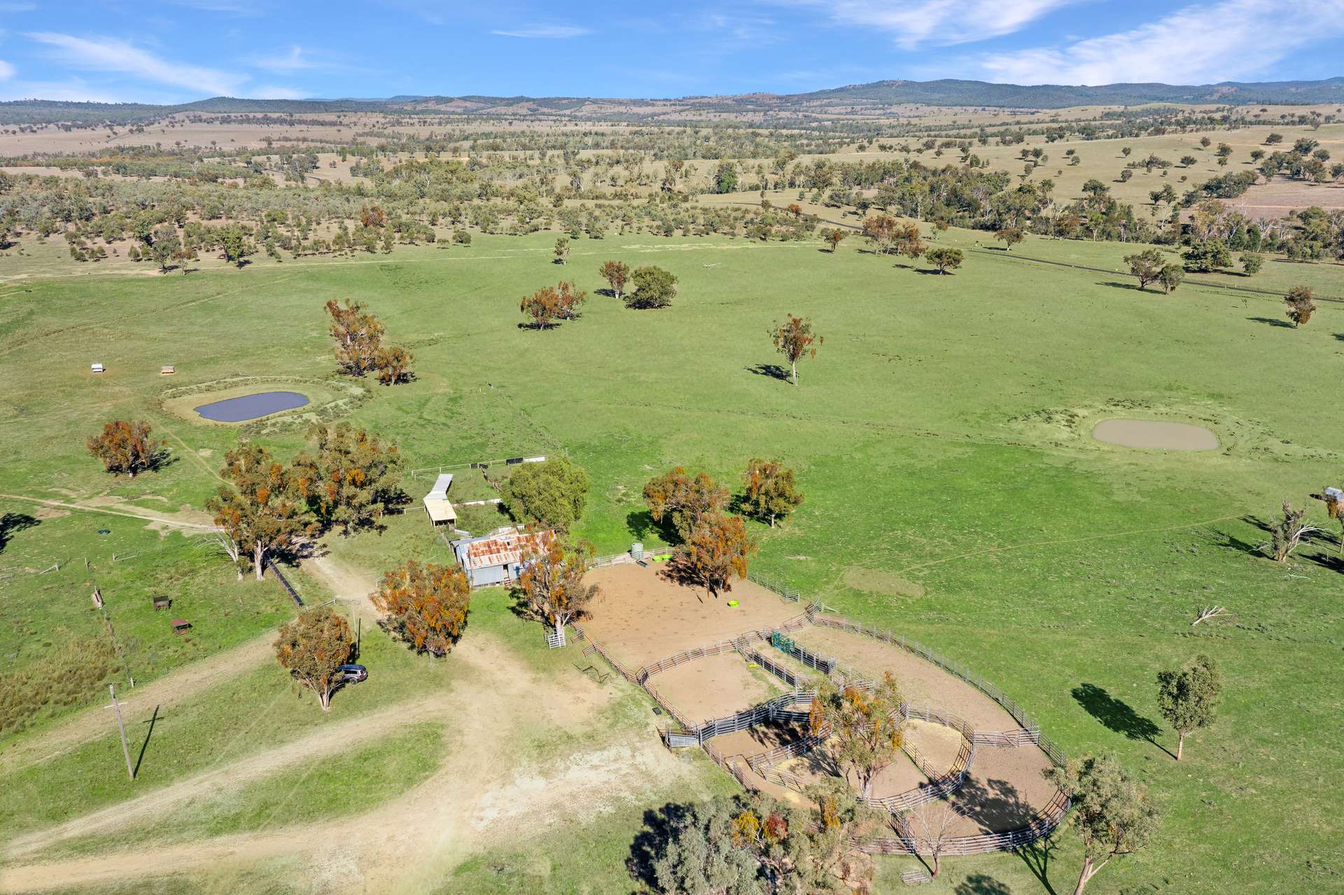 " Brooklyn Macintyre Aggregation ", Warwick For Sale by Farmbuy.com - image 3