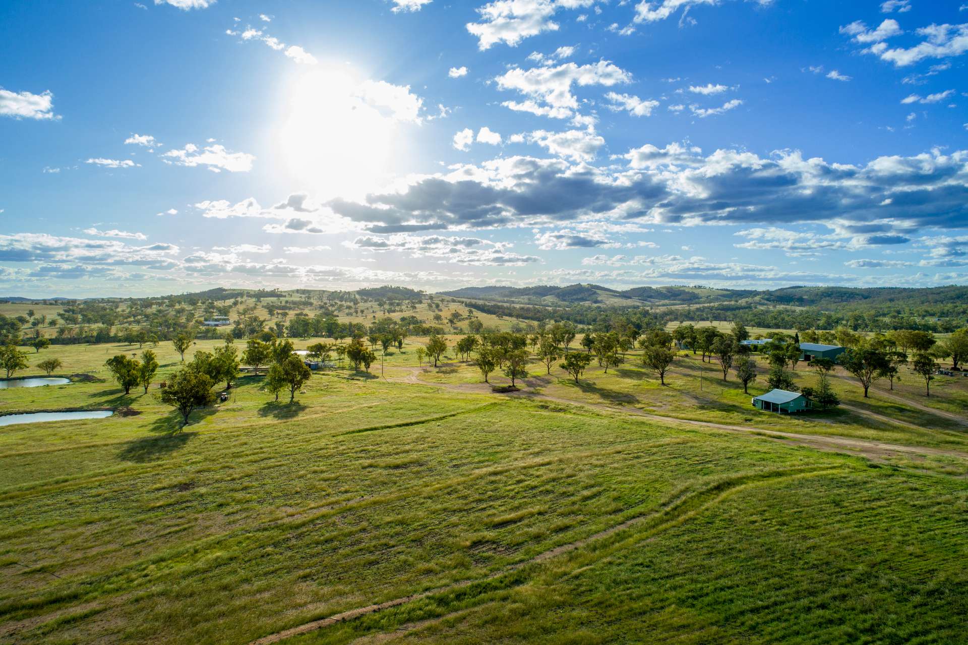 " Brooklyn Macintyre Aggregation ", Warwick For Sale by Farmbuy.com - image 2