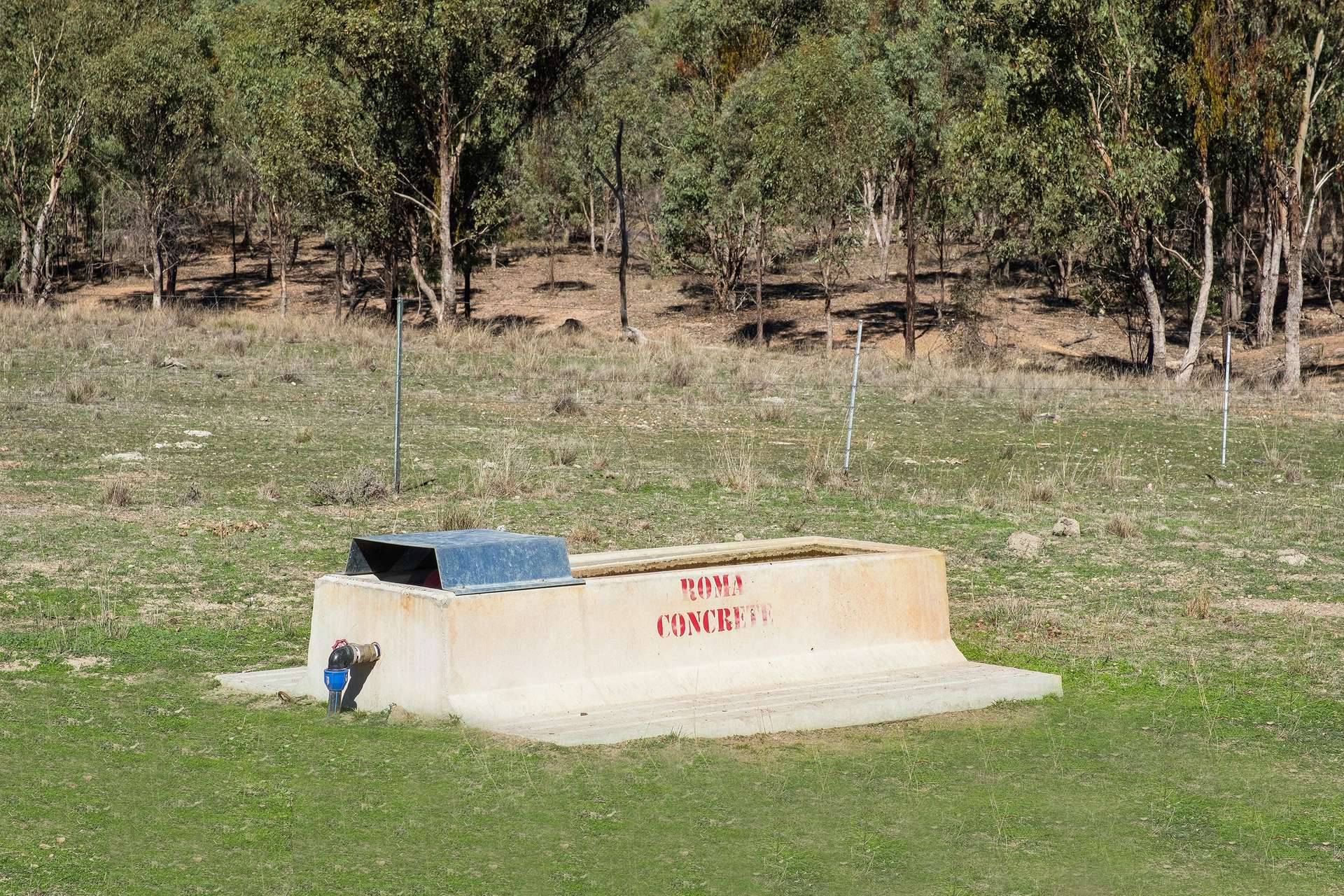 " Brooklyn Macintyre Aggregation ", Warwick For Sale by Farmbuy.com - image 11