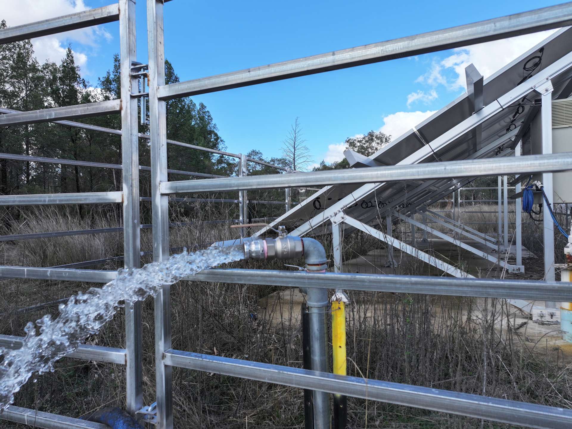 " Brooklyn Macintyre Aggregation ", Warwick For Sale by Farmbuy.com - image 9