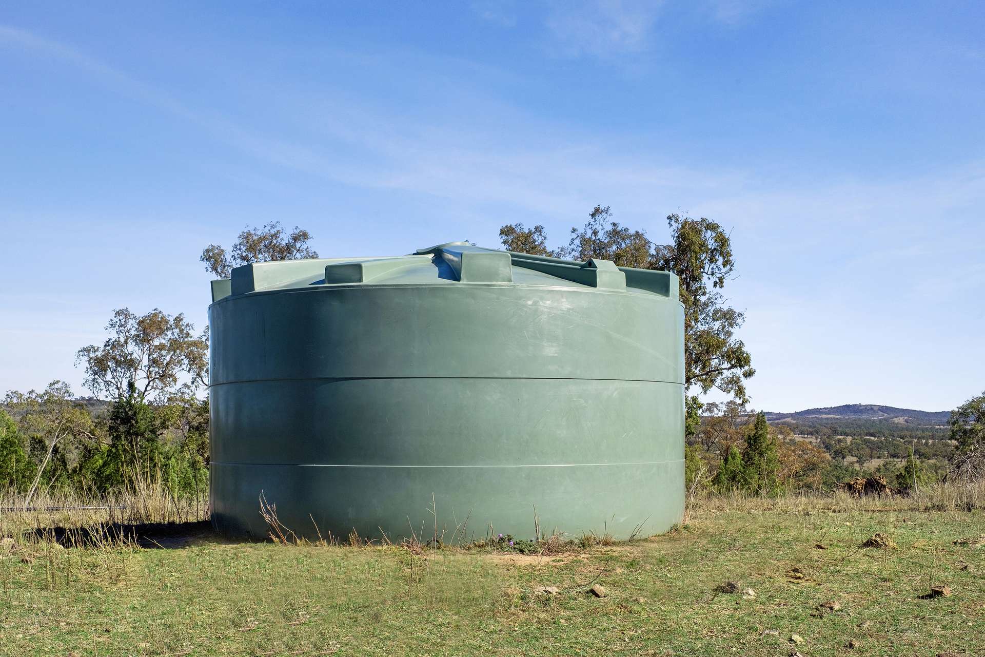 " Brooklyn Macintyre Aggregation ", Warwick For Sale by Farmbuy.com - image 10
