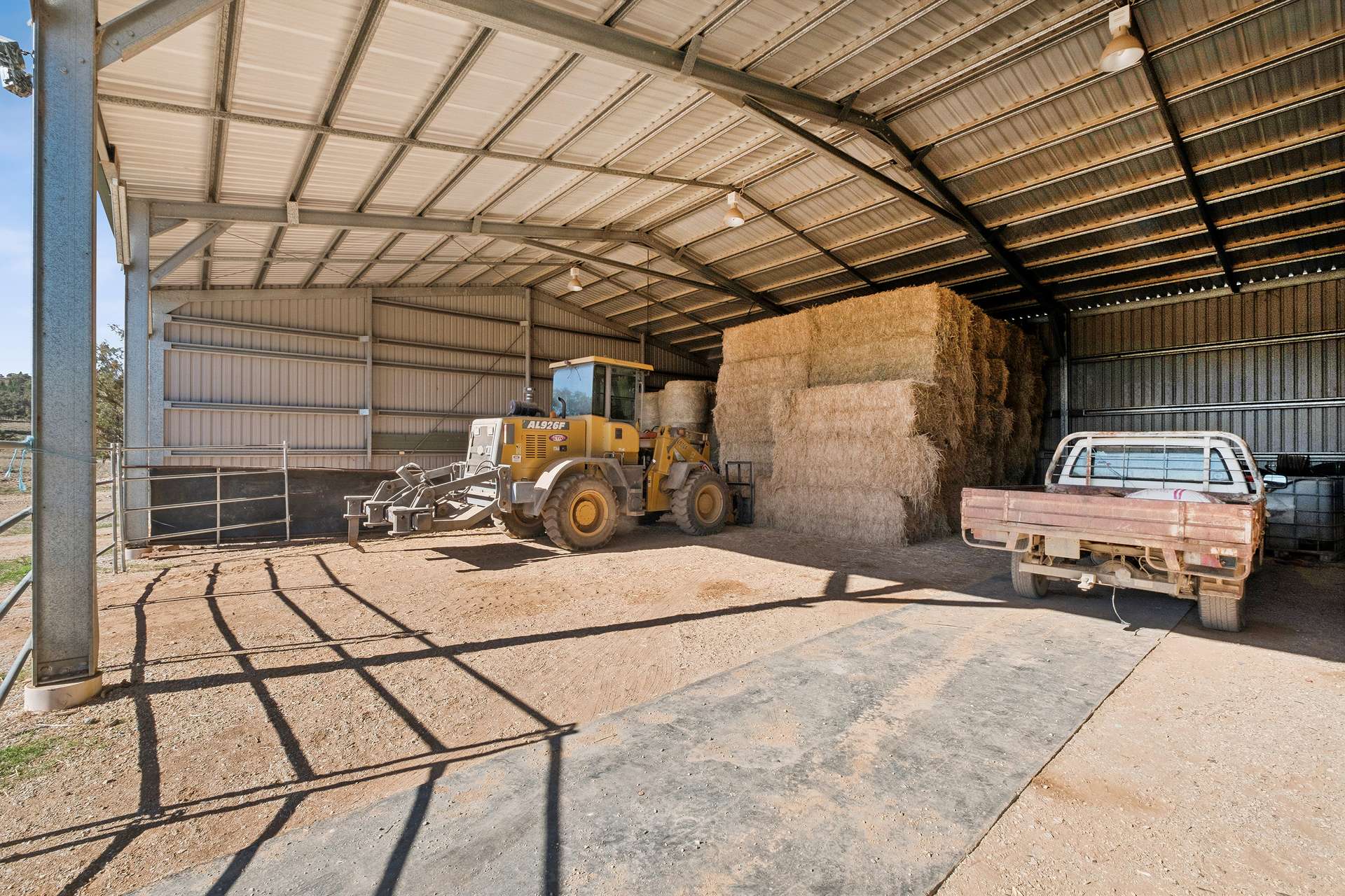 " Brooklyn Macintyre Aggregation ", Warwick For Sale by Farmbuy.com - image 23