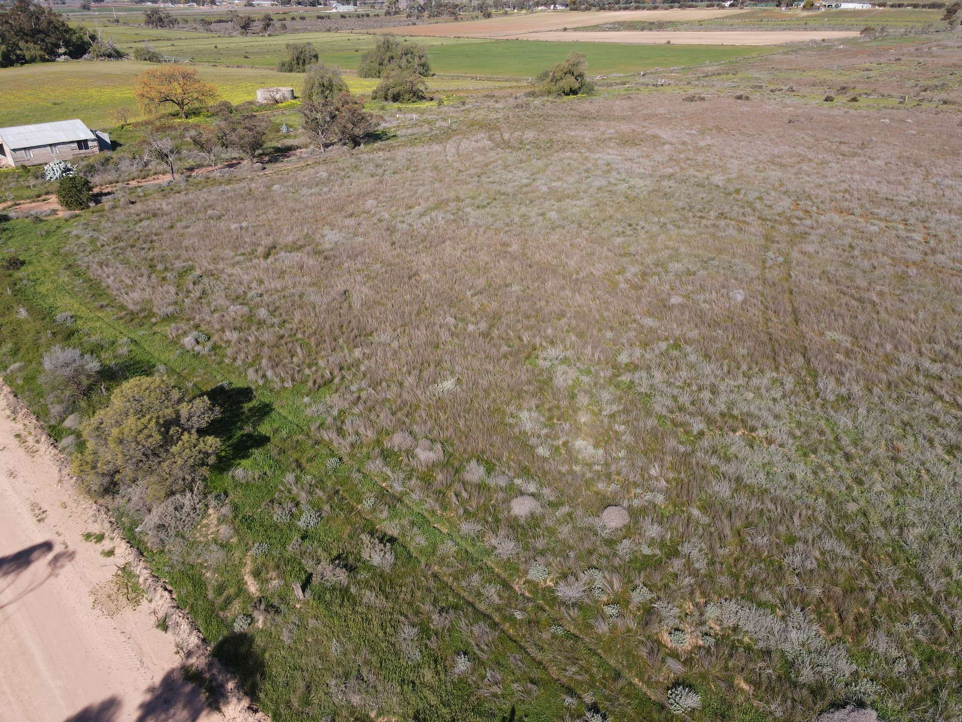 317 Yarraby Road, Nyah West For Sale by Farmbuy.com - image 3