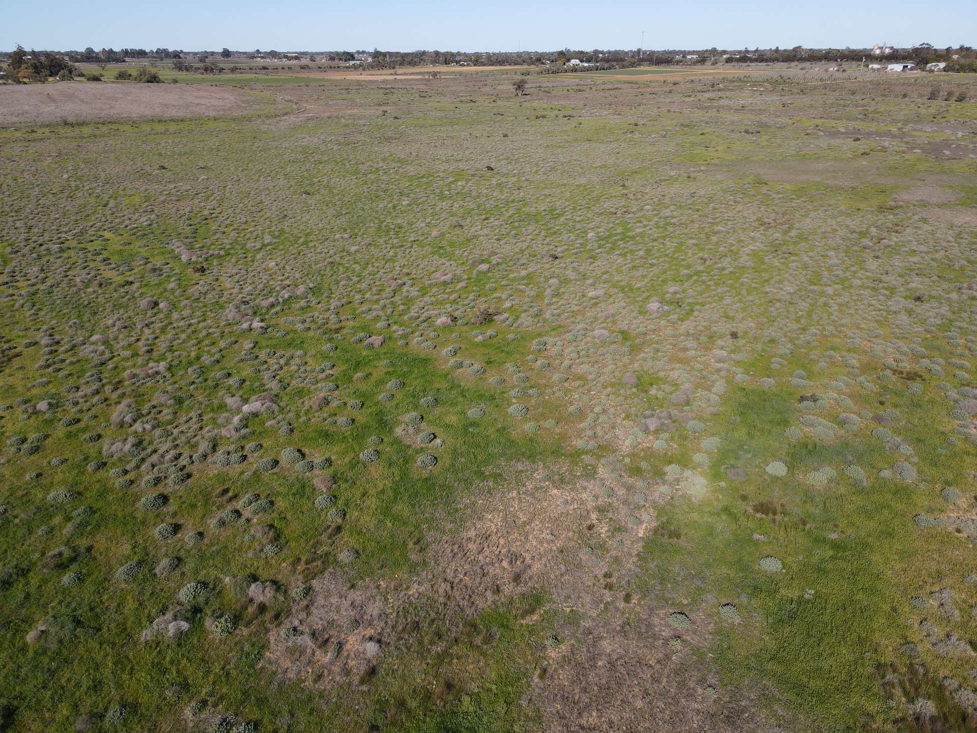 317 Yarraby Road, Nyah West For Sale by Farmbuy.com - image 4