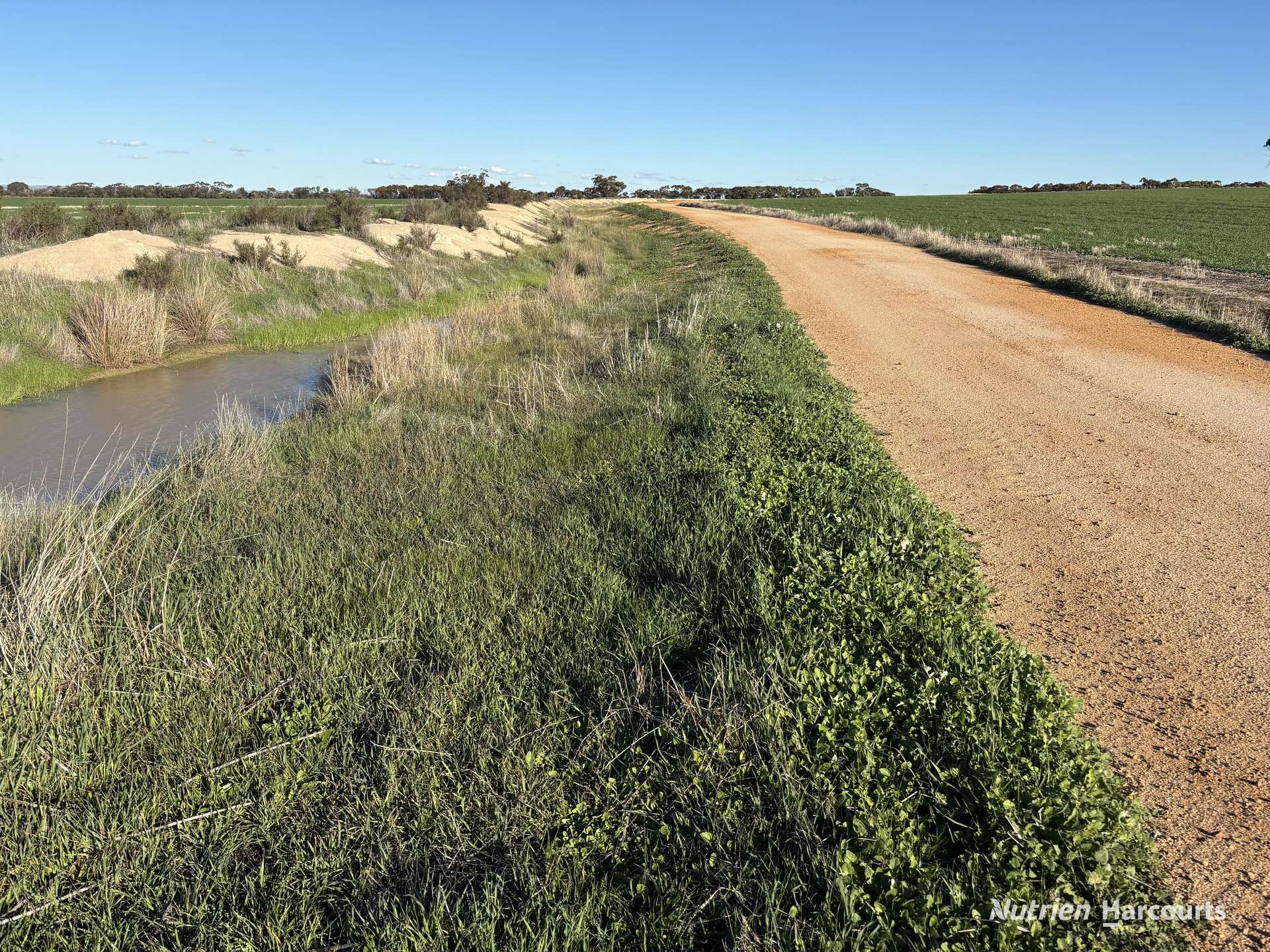 Part 'Craigmile' Cubbine Road, Quairading Auction by Farmbuy.com - image 21