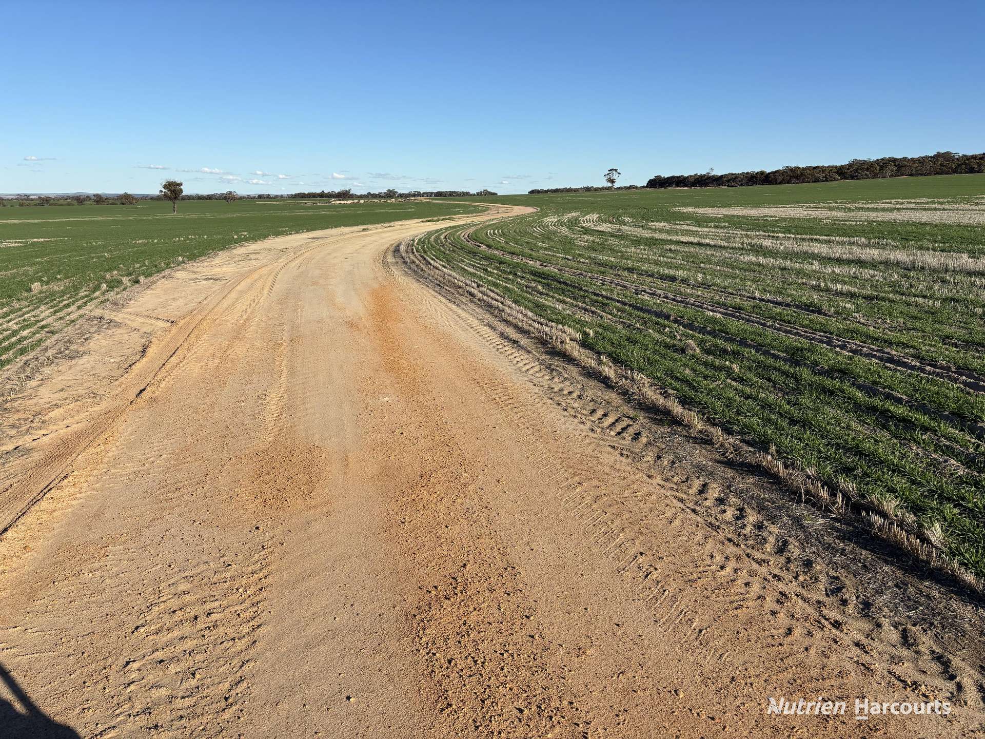 Part 'Craigmile' Cubbine Road, Quairading Auction by Farmbuy.com - image 13