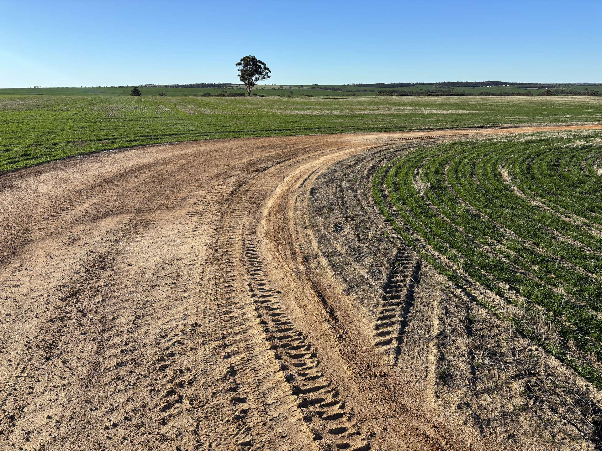 'Craigmile' Cubbine Road, Quairading Auction by Farmbuy.com - image 12