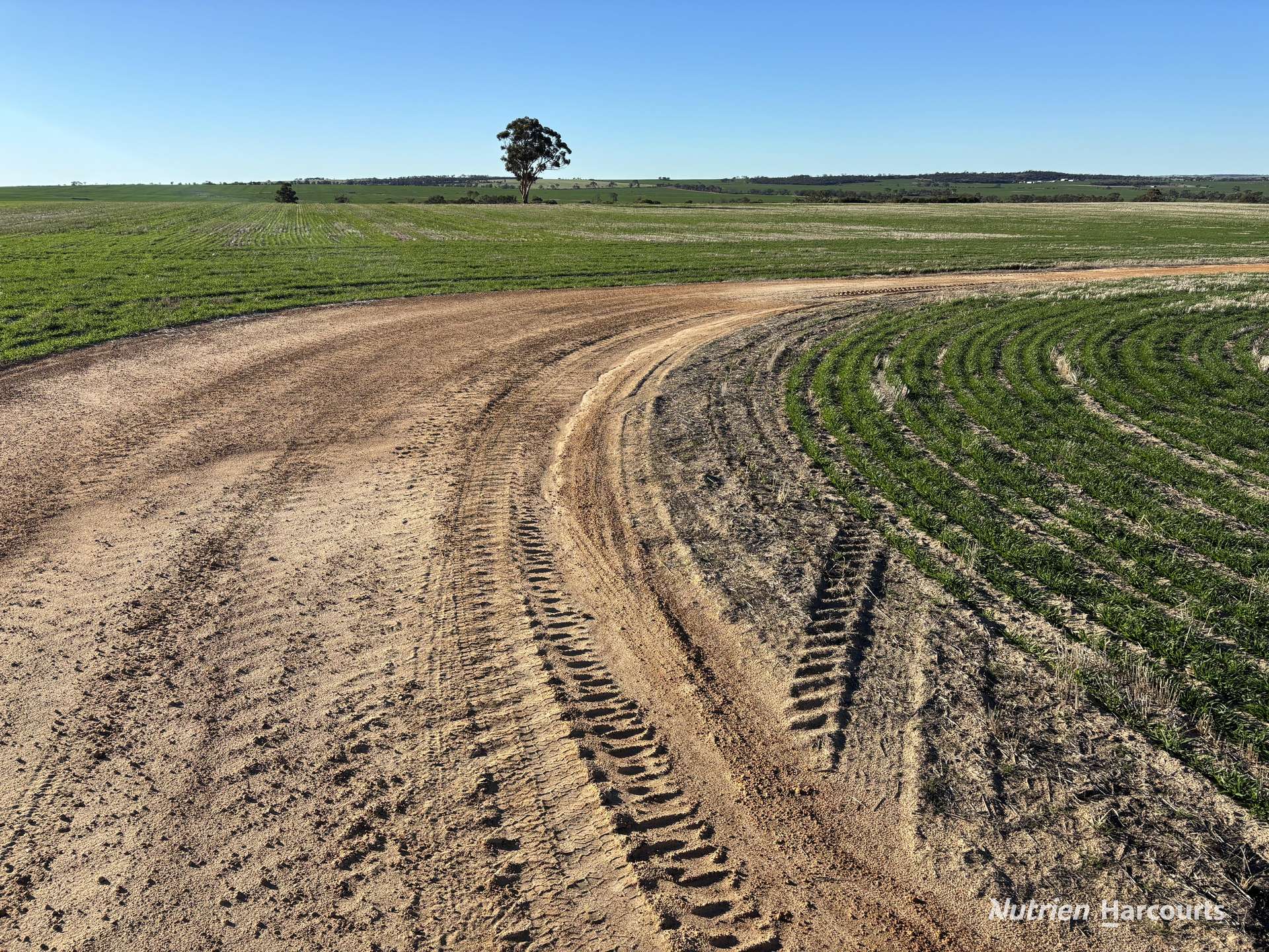 Part 'Craigmile' Cubbine Road, Quairading Auction by Farmbuy.com - image 12