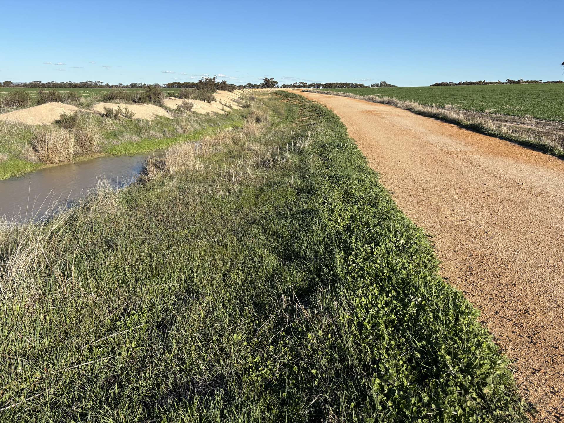 'Craigmile' Cubbine Road, Quairading Auction by Farmbuy.com - image 21