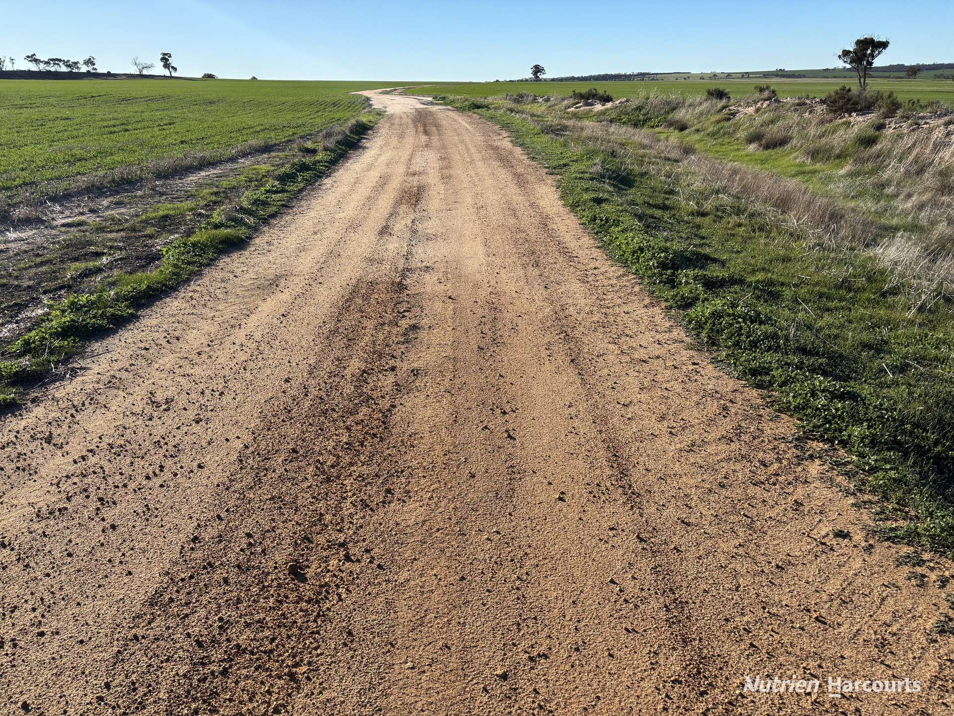 Part 'Craigmile' Cubbine Road, Quairading Auction by Farmbuy.com - image 14