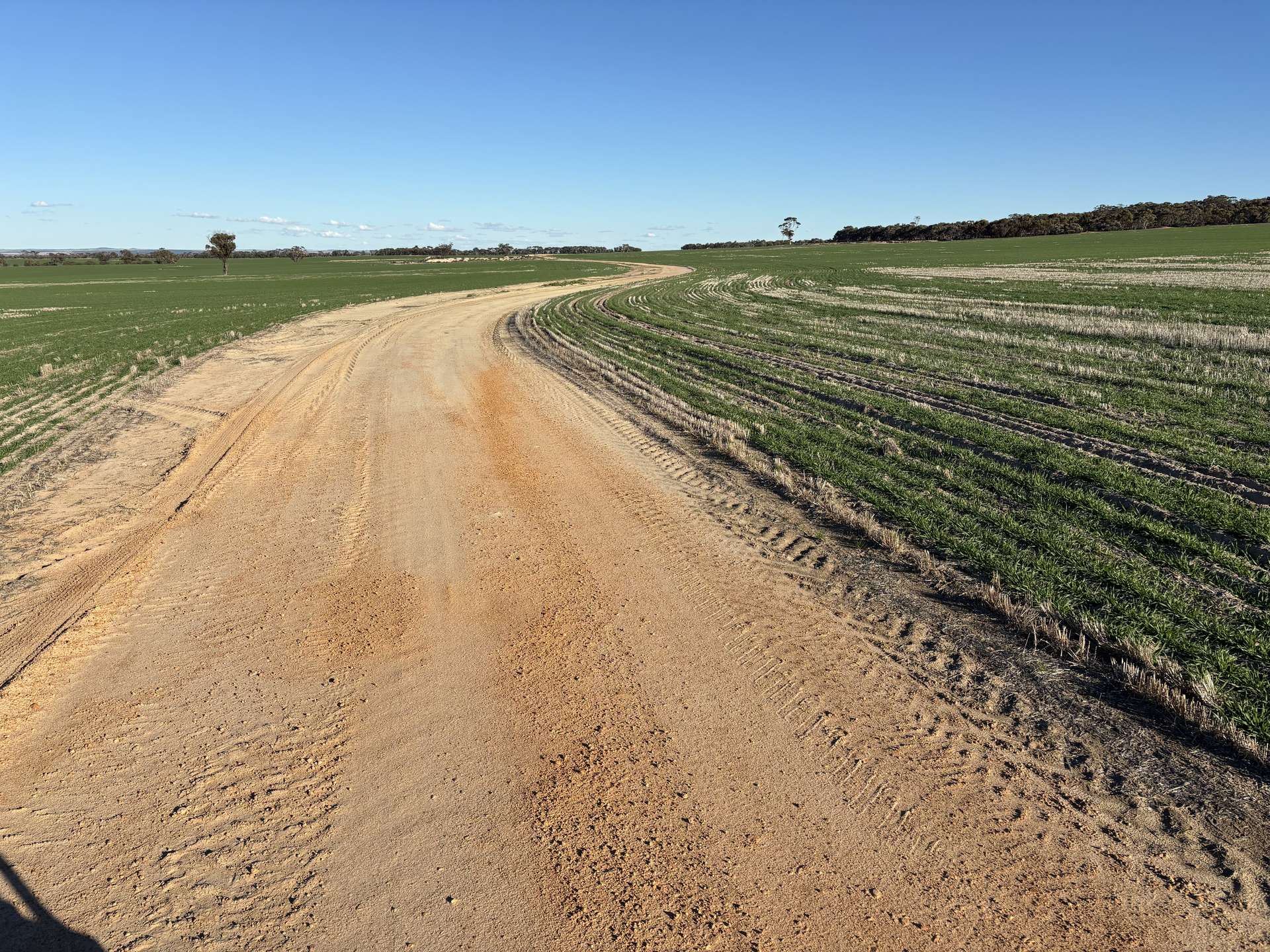 'Craigmile' Cubbine Road, Quairading Auction by Farmbuy.com - image 13