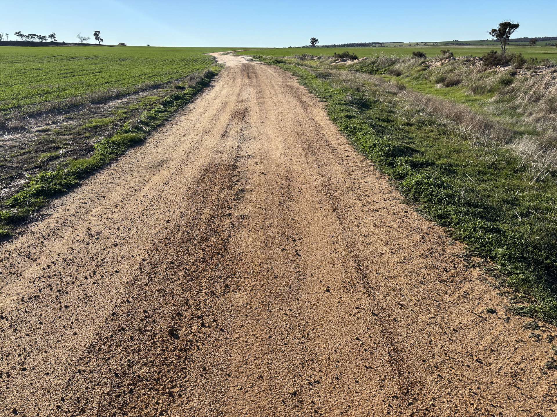 'Craigmile' Cubbine Road, Quairading Auction by Farmbuy.com - image 14