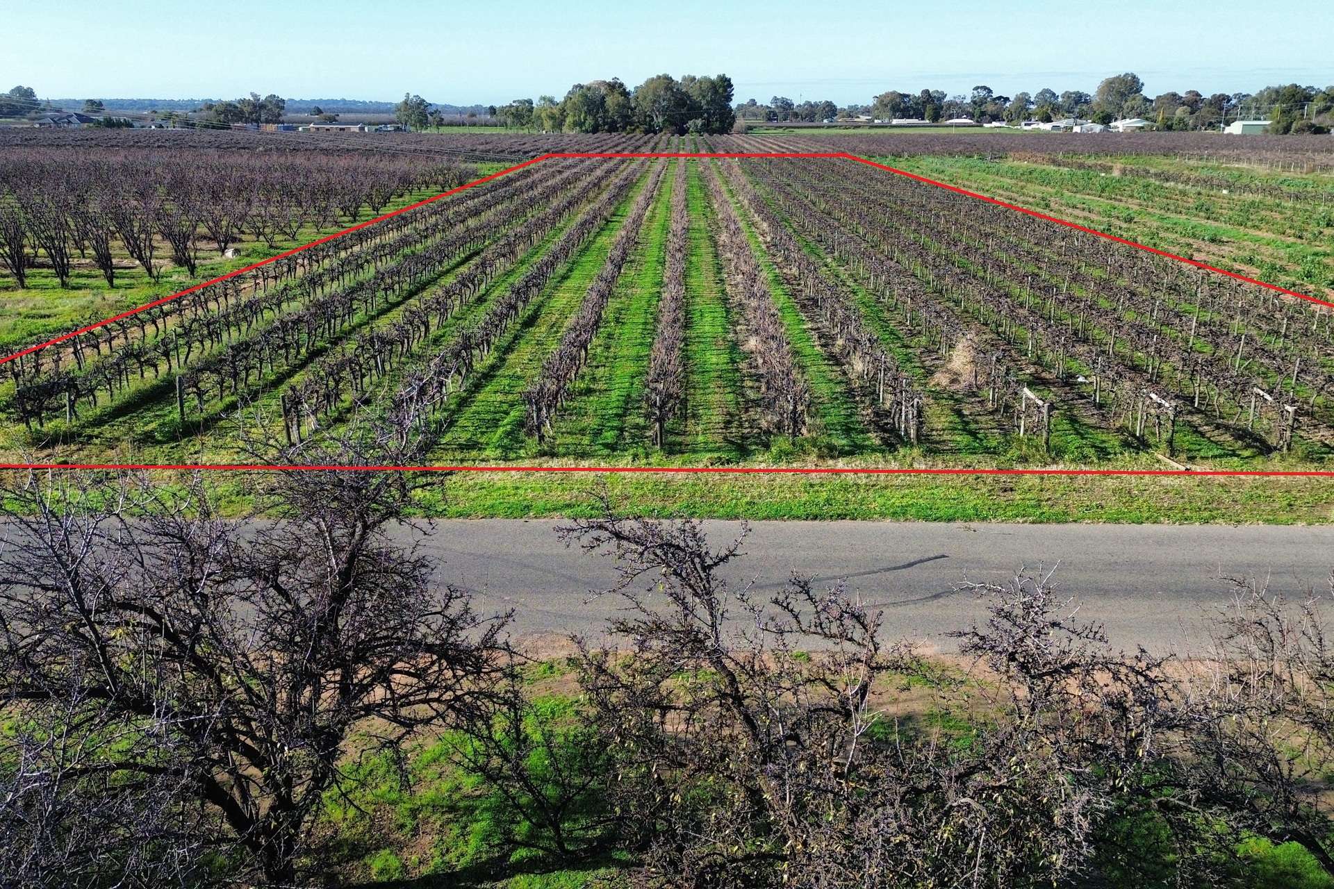 Lot 725,  Ral Ral Avenue, Renmark For Sale by Farmbuy.com - image 4