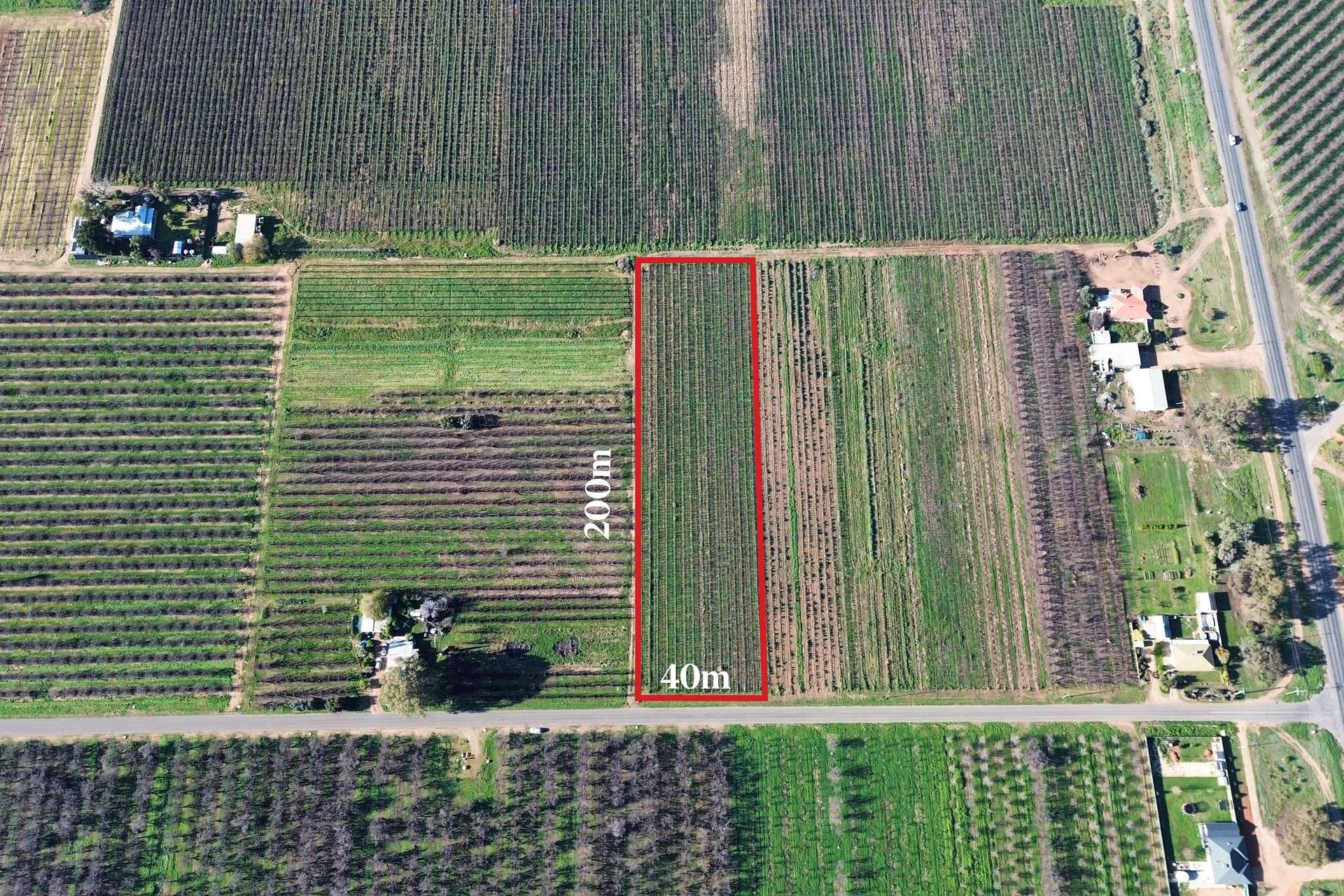 Lot 725,  Ral Ral Avenue, Renmark For Sale by Farmbuy.com - image 2
