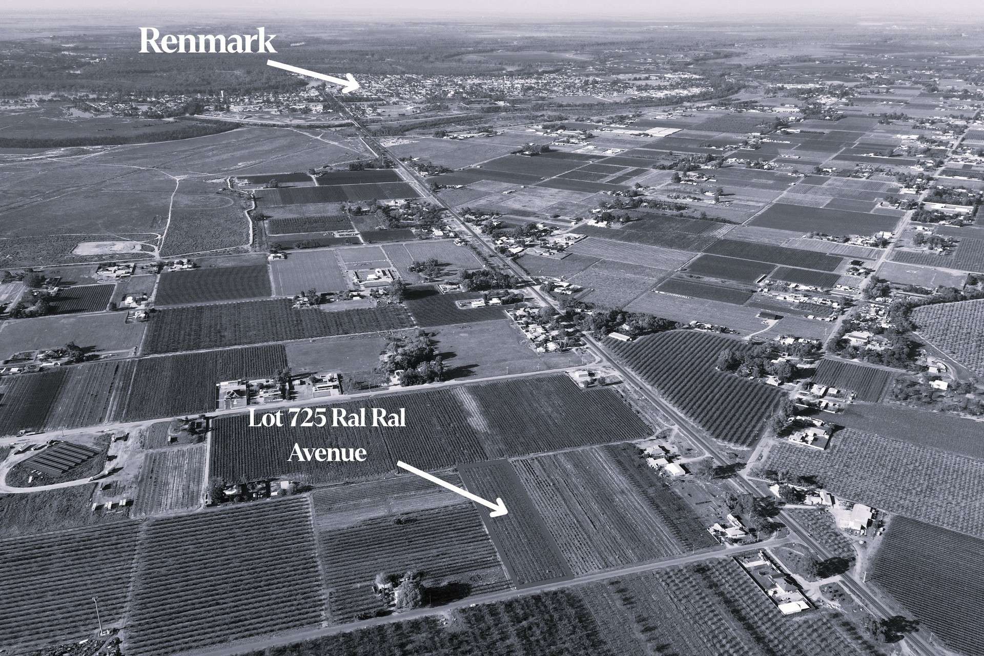 Lot 725,  Ral Ral Avenue, Renmark For Sale by Farmbuy.com - image 1