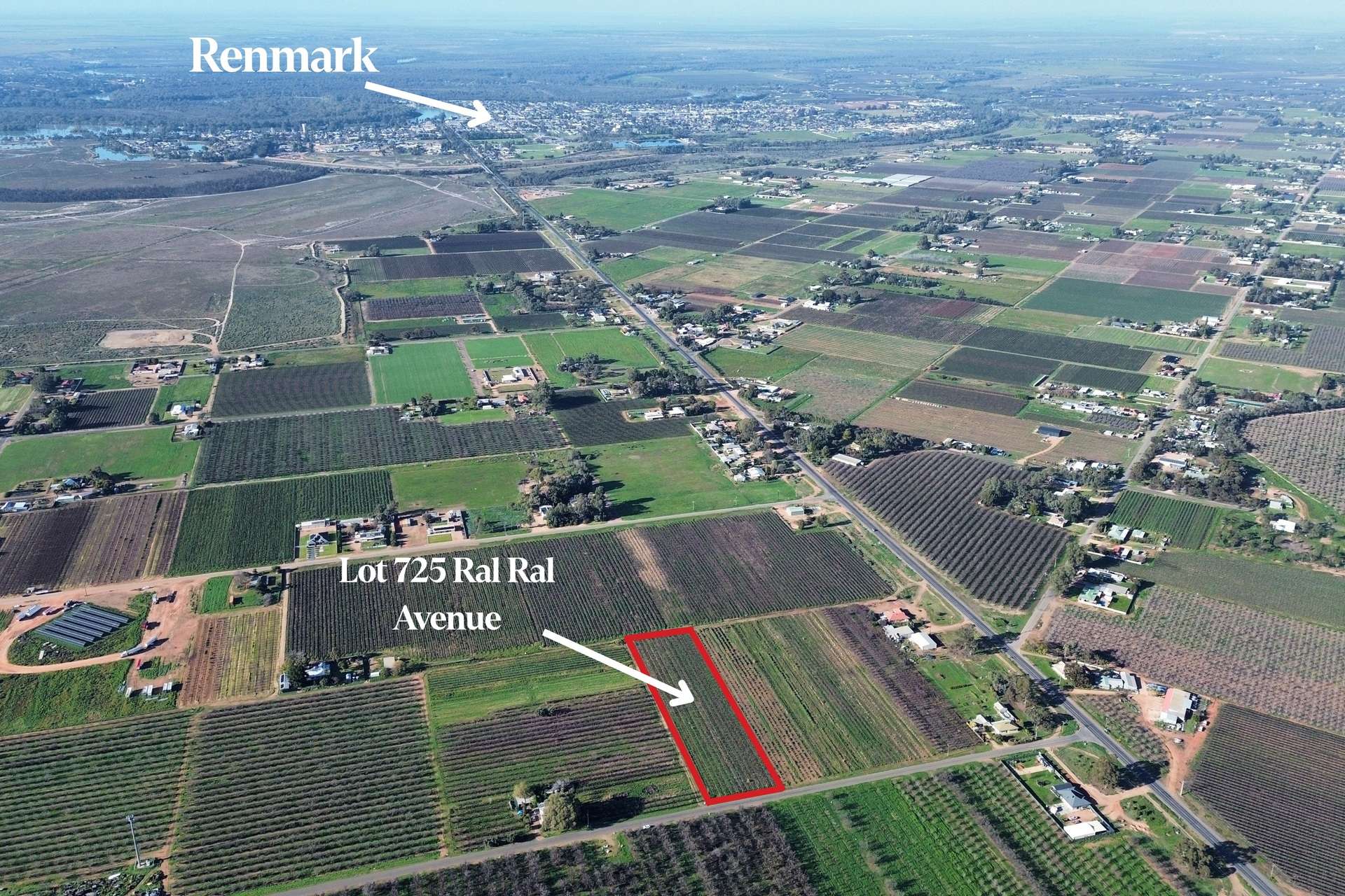 Lot 725,  Ral Ral Avenue, Renmark For Sale by Farmbuy.com - image 1