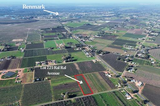 Farm For Sale - SA - Renmark - 5341 - WELCOME TO 725 RAL RAL AVENUE 