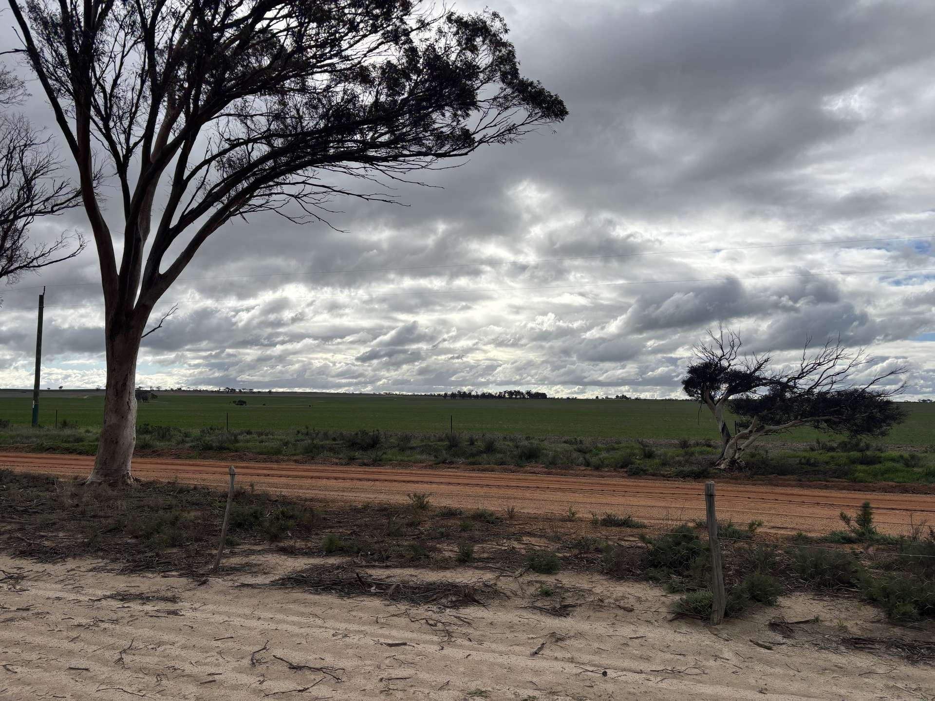 . Zis's And Garbin's, Bruce Rock Auction by Farmbuy.com - image 14