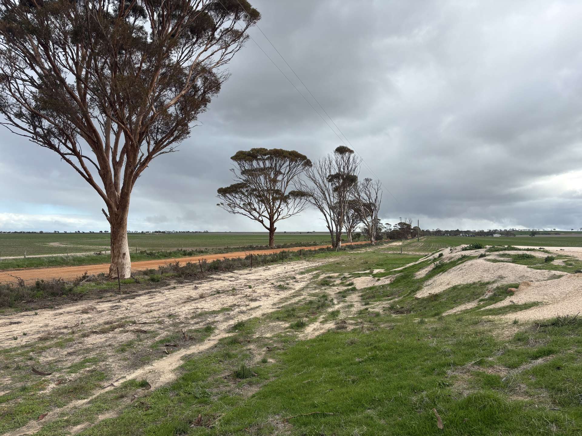 . Zis's And Garbin's, Bruce Rock Auction by Farmbuy.com - image 15