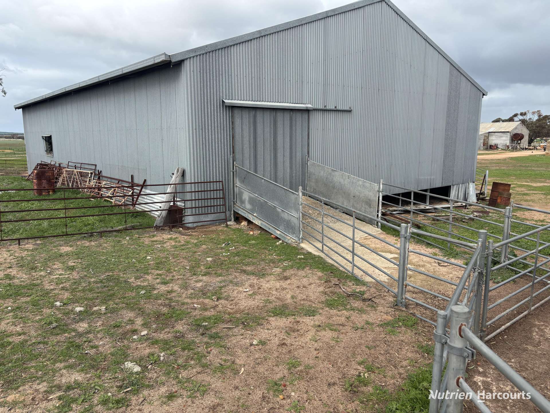 . Zis's North, Bruce Rock Auction by Farmbuy.com - image 13