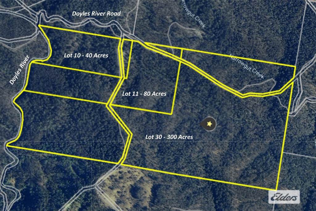 1280 Doyles River Road, Bulga Forest NSW 2429