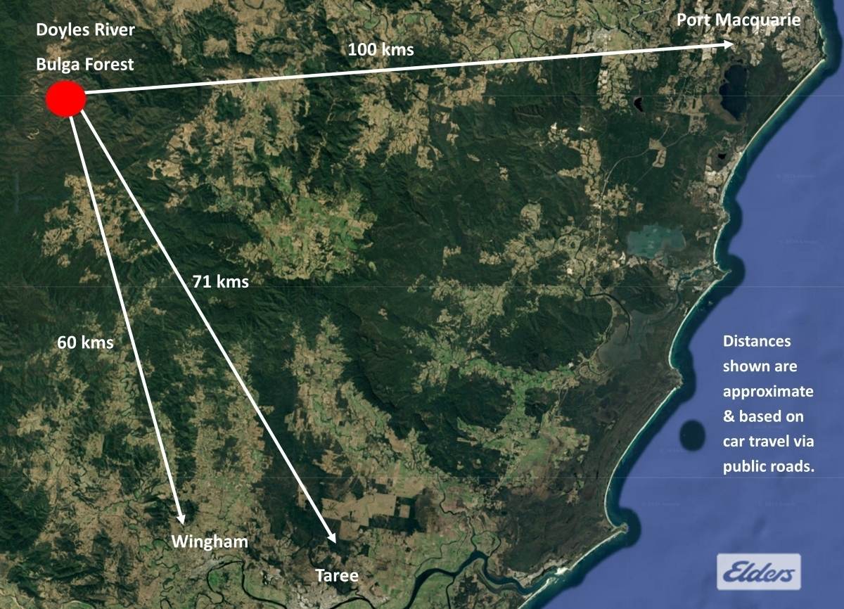 1280 Doyles River Road, Bulga Forest For Sale by Farmbuy.com - image 2