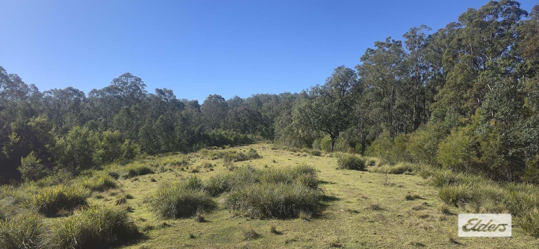 1280 Doyles River Road, Bulga Forest For Sale by Farmbuy.com - image 3