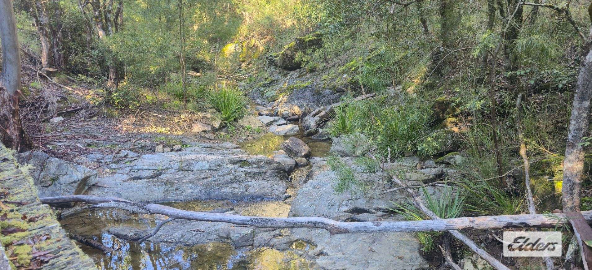 1280 Doyles River Road, Bulga Forest For Sale by Farmbuy.com - image 8