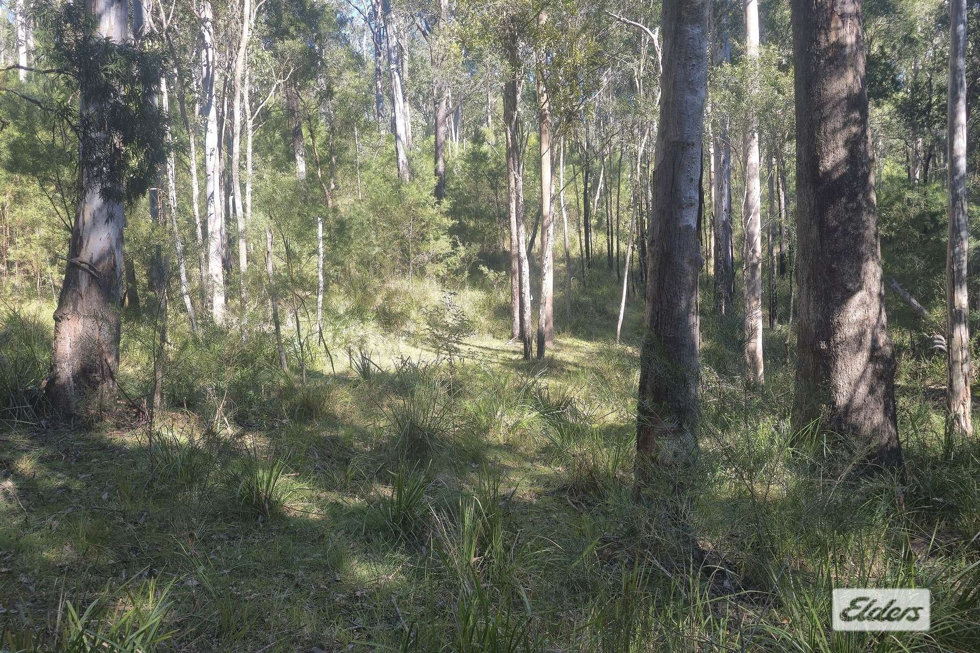 1280 Doyles River Road, Bulga Forest For Sale by Farmbuy.com - image 10