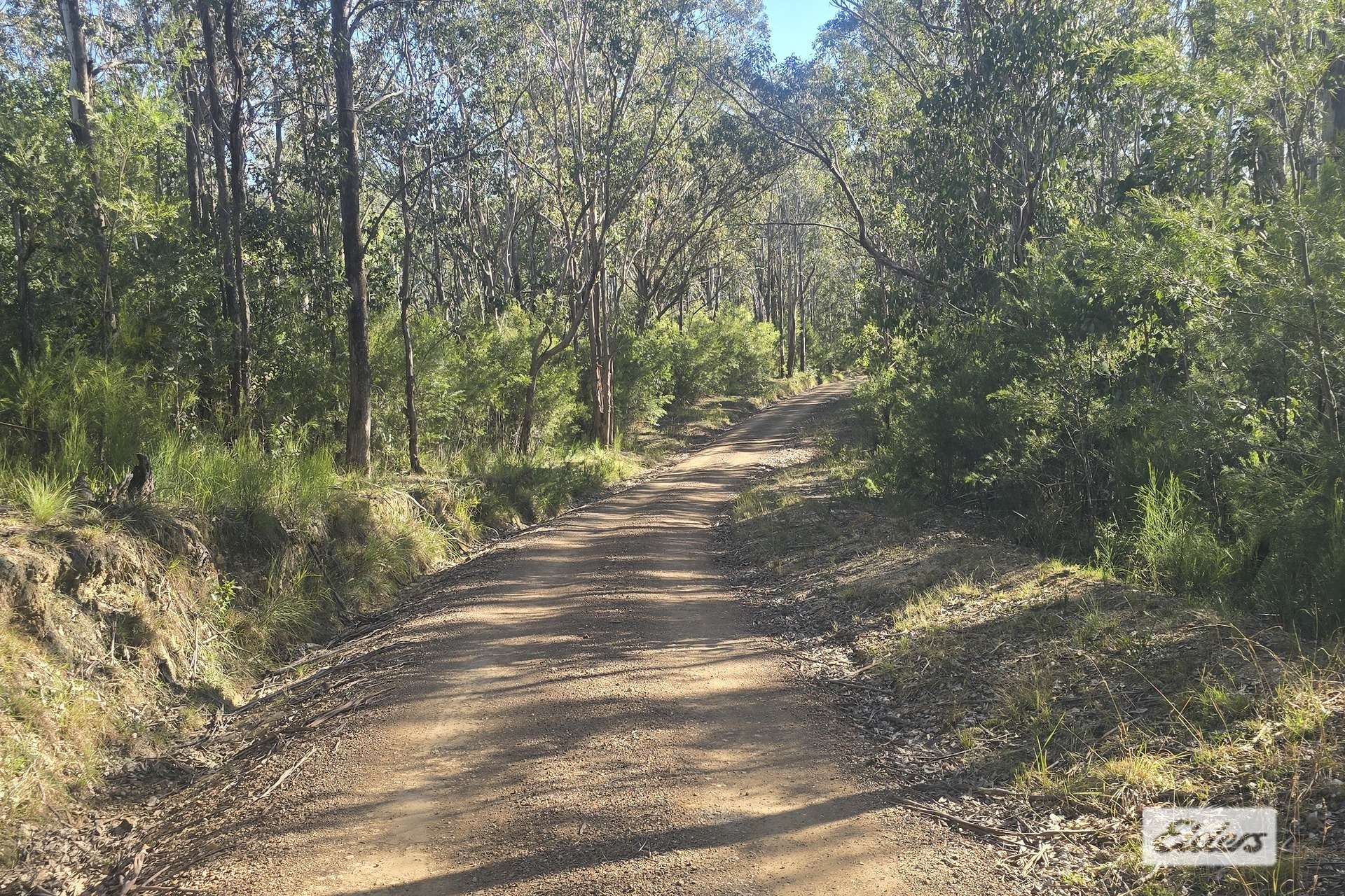 1280 Doyles River Road, Bulga Forest For Sale by Farmbuy.com - image 12